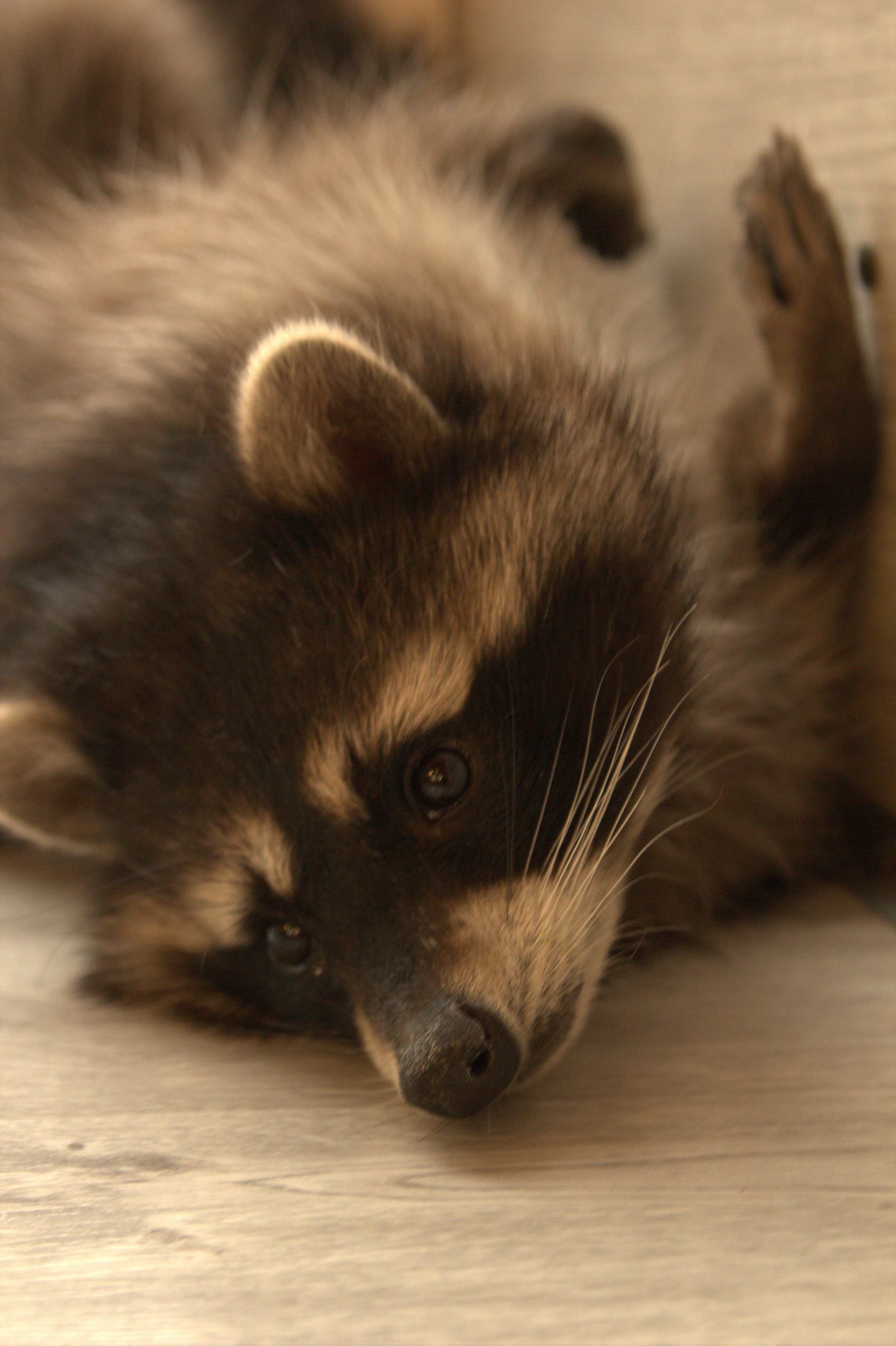 Портфолио. Фотограф в Москве Александра