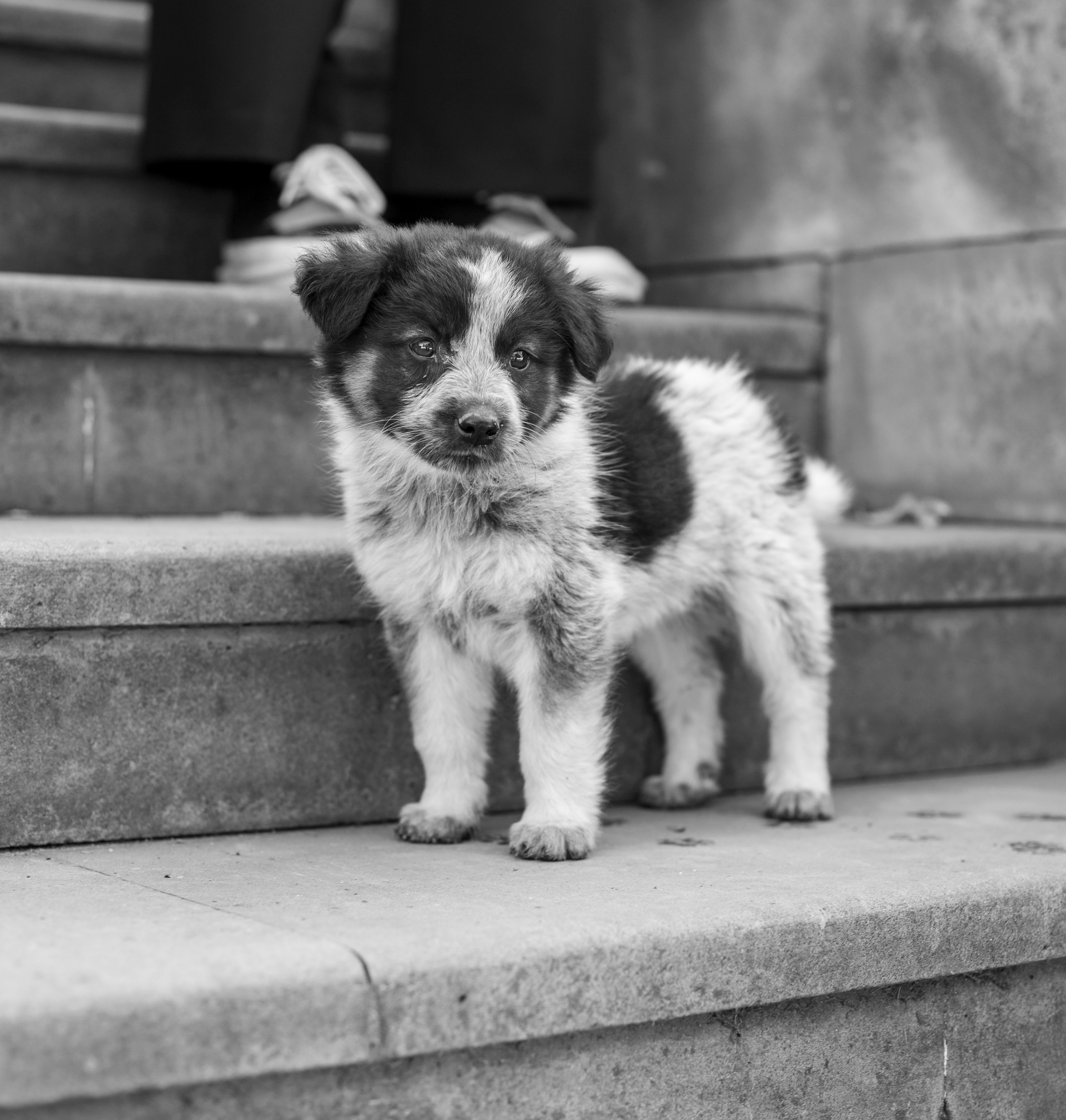 Выставка в г. Дилижан, Армения. Фоторепортаж А.Бабышевой. Арт-фотограф Ксения Якутович