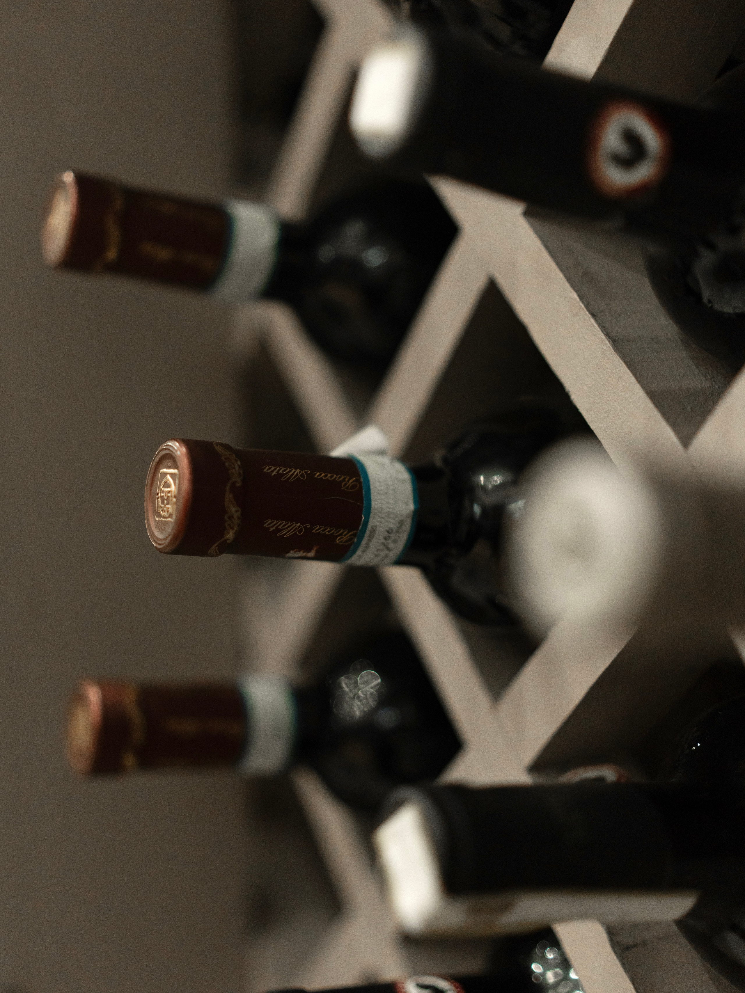 Перевал. Full production: photo, video, ai