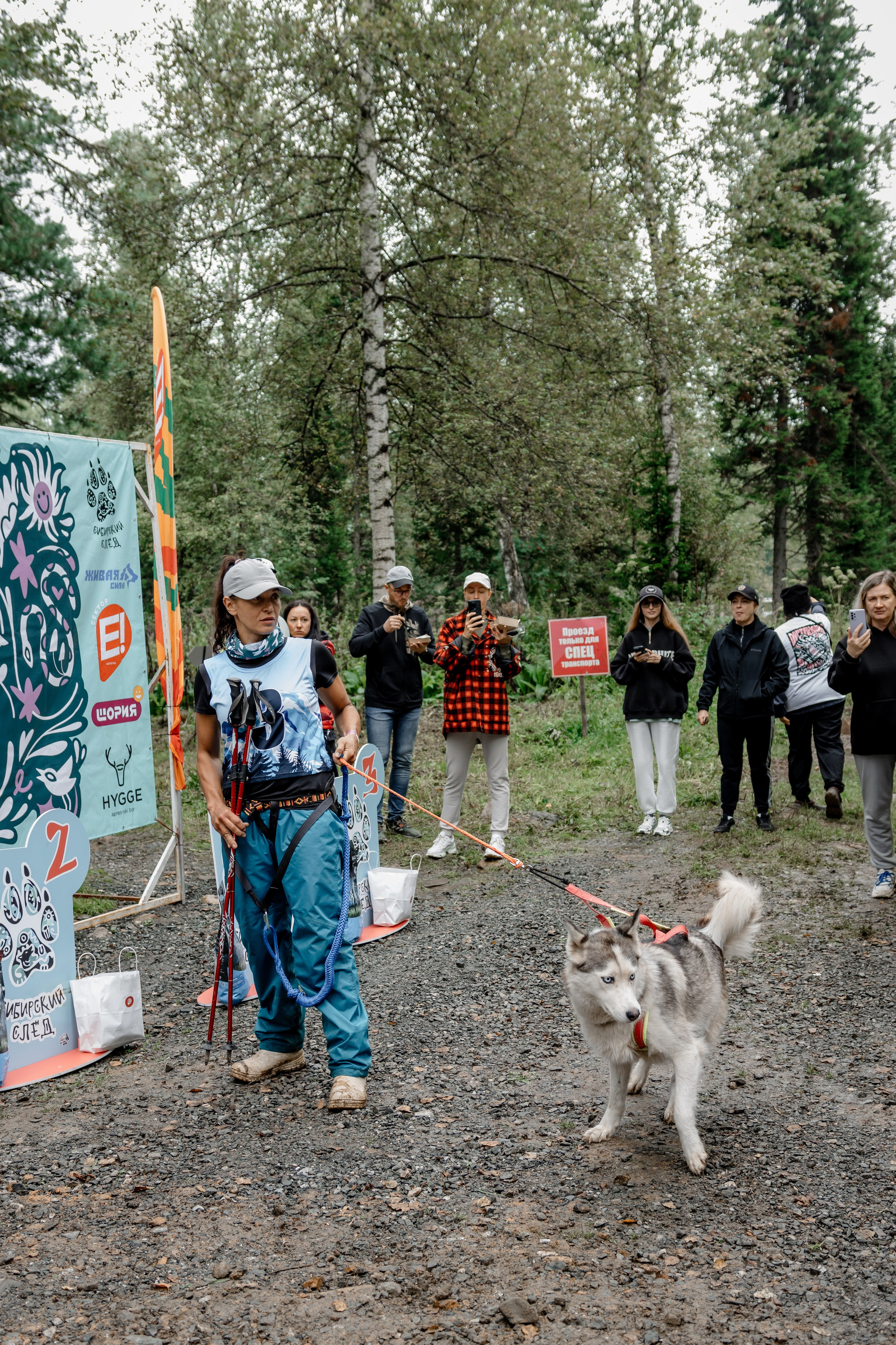 Дог-треккинг