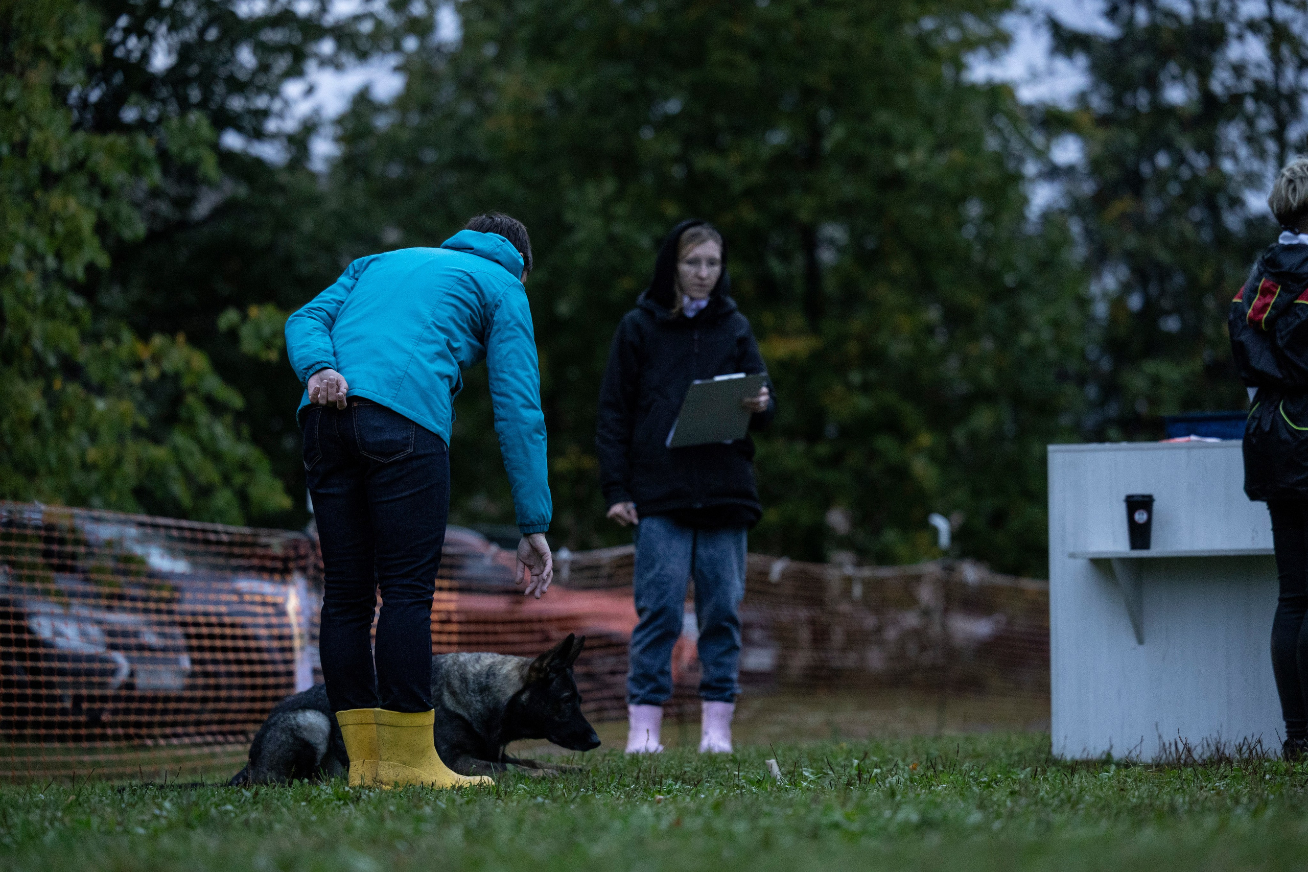 Испытания по Мондьорингу г. Пушкин. Фотограф-анималист Анна Маринич
