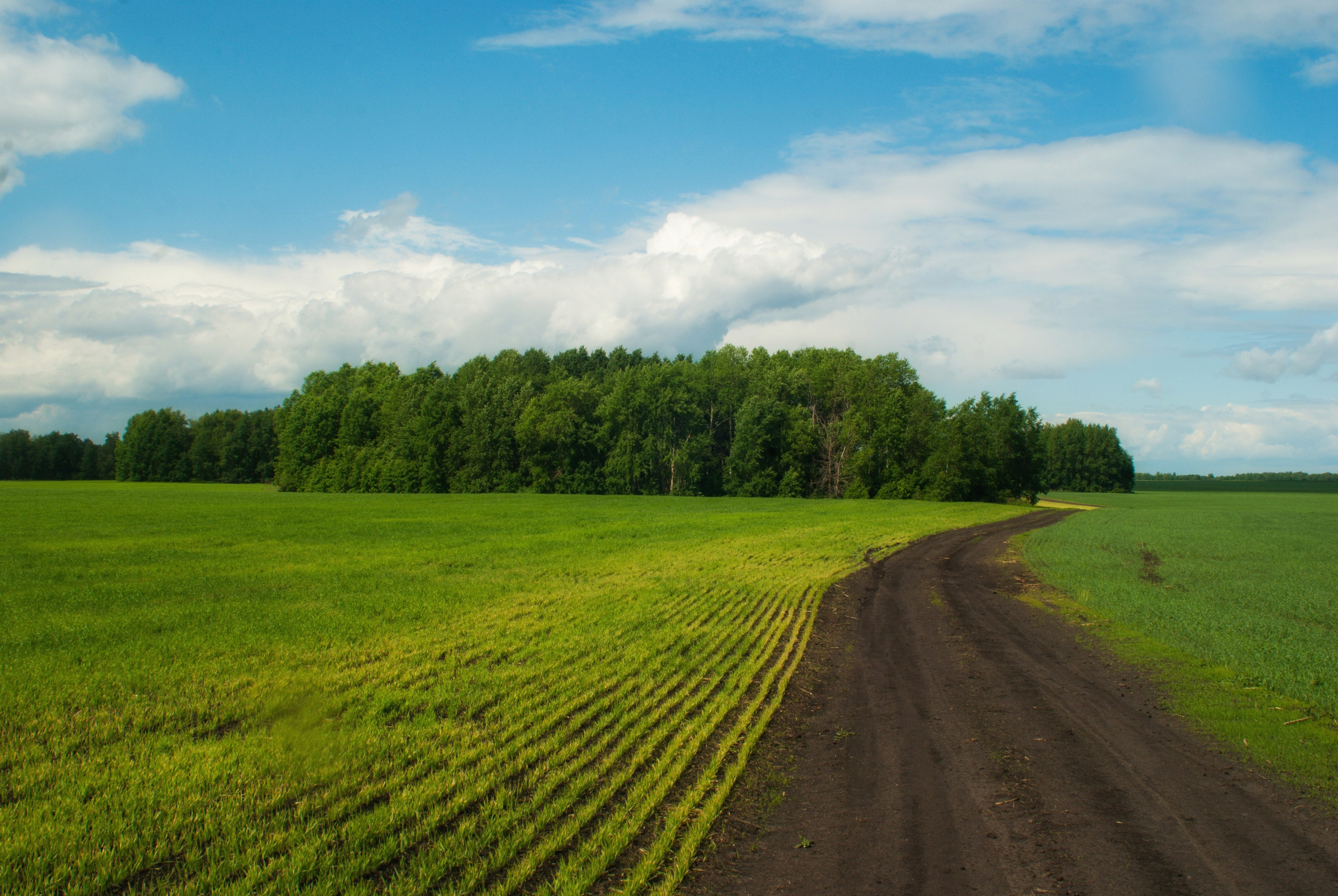 Этот прекрасный мир