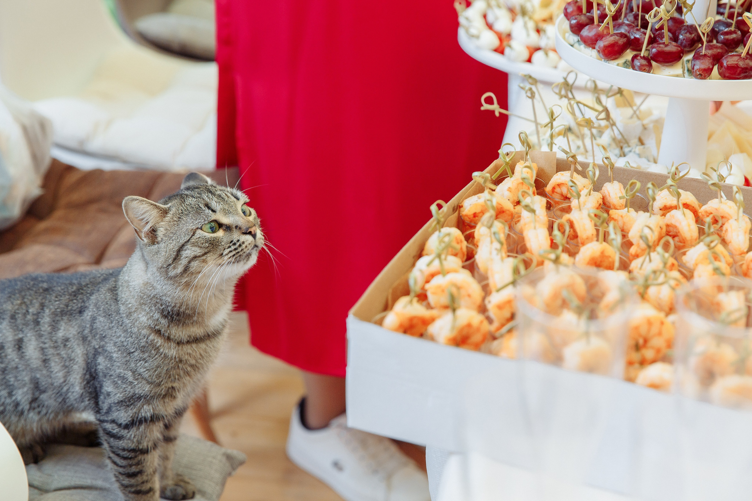 PINK PARTY. Свадебный фотограф Юлия Логинова