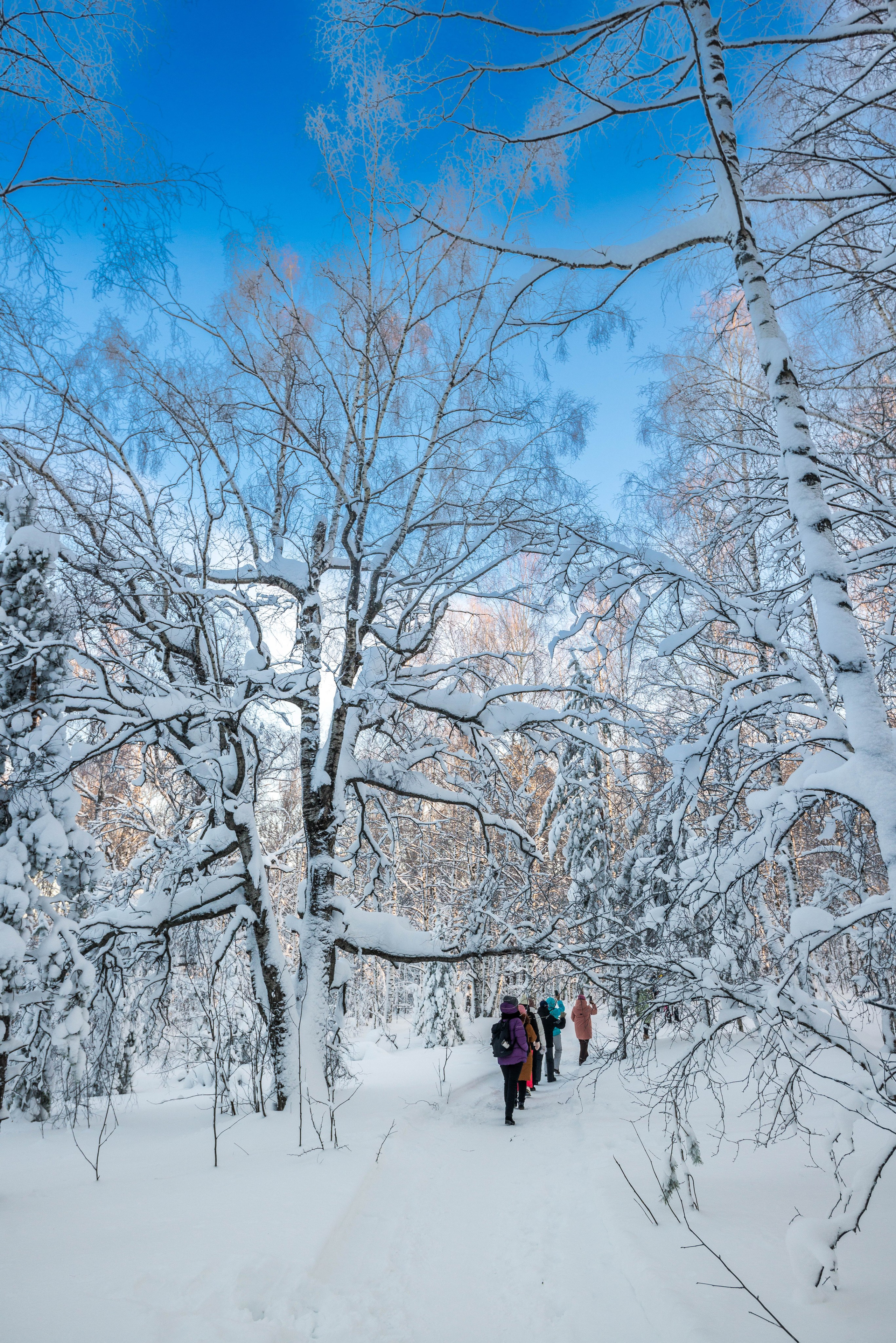 Таганай Семибратка, Парк Бажова, ледяной фонтан 06.01.2024. Свадебный фотограф на Урале Виктор Соколов