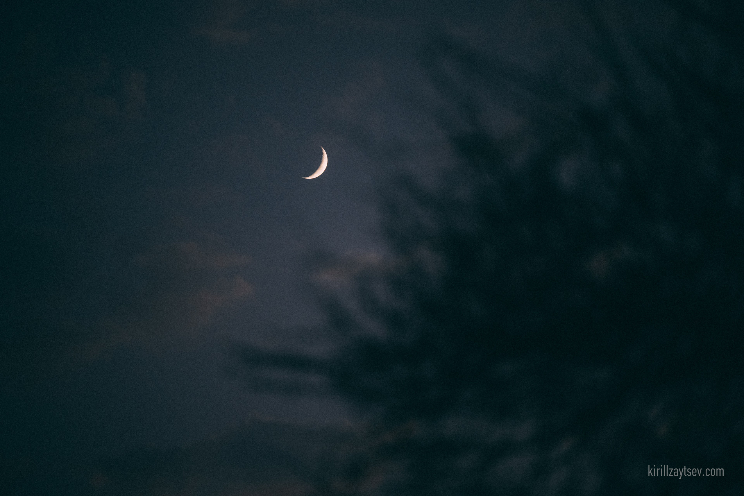 Жизнь. Профессиональный фотограф Кирилл Зайцев