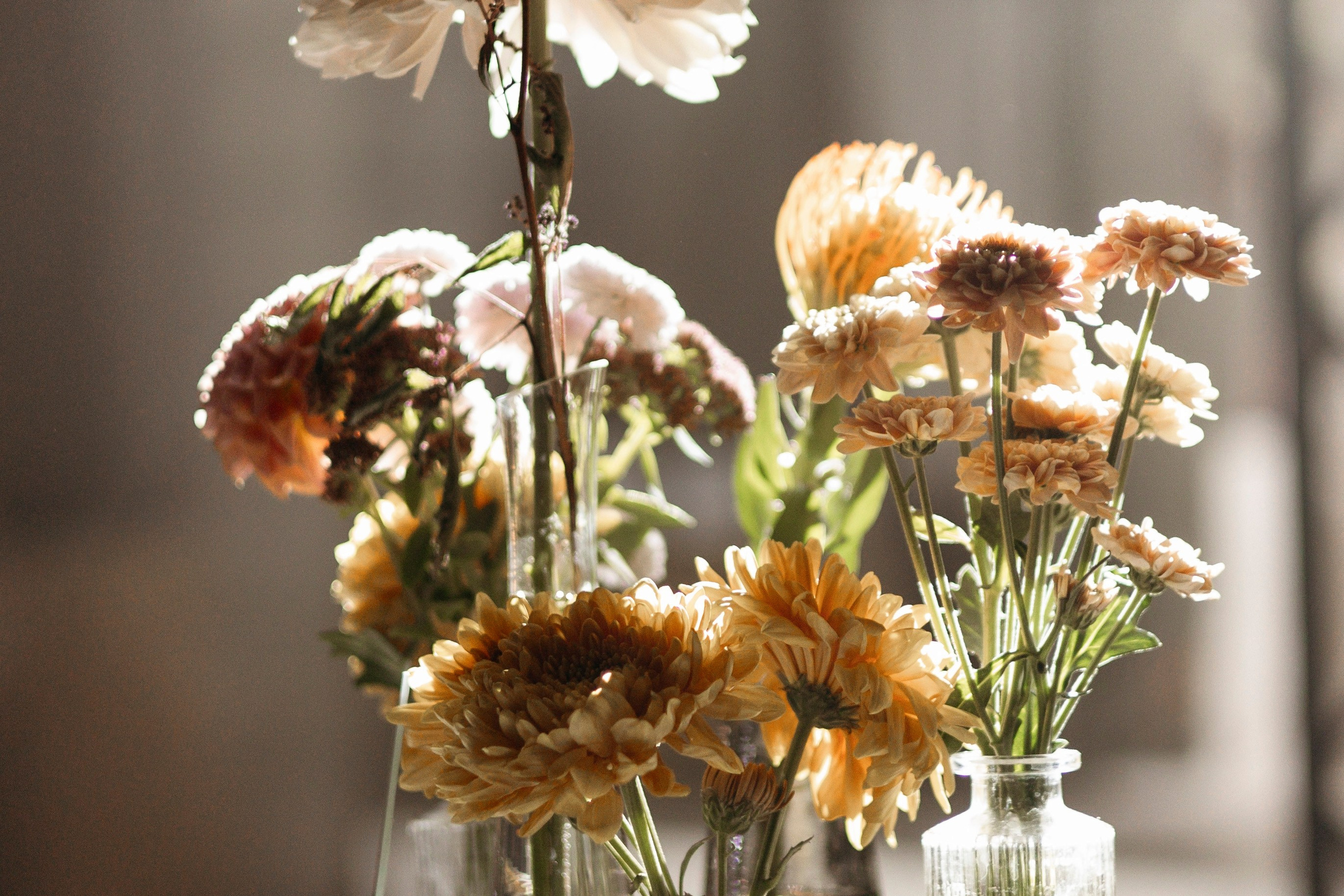 Владимир и Ирина. Nikolpinhasova