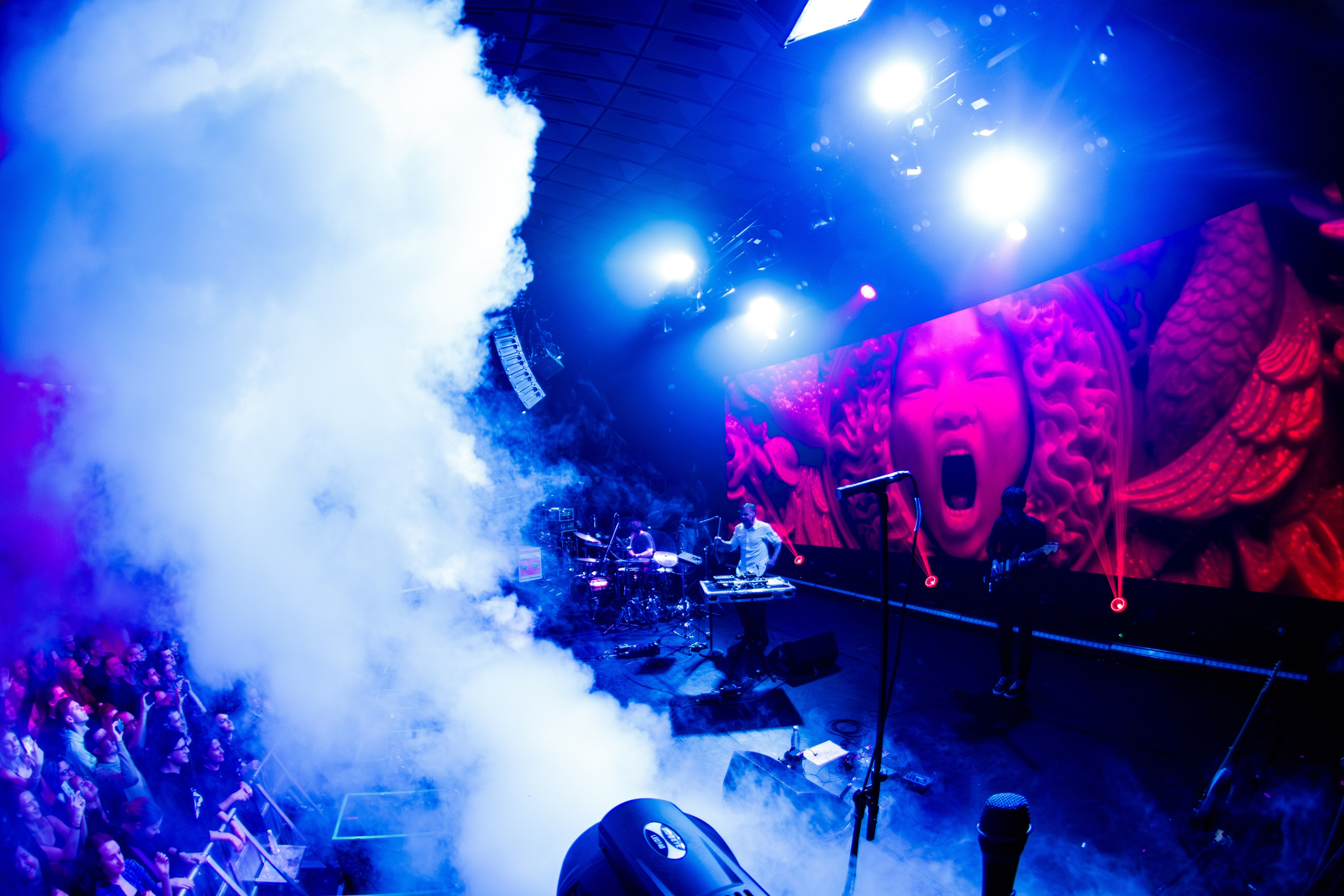 Дельфин. Портретный и концертный фотограф в Санкт-Петербурге Егор Телятников