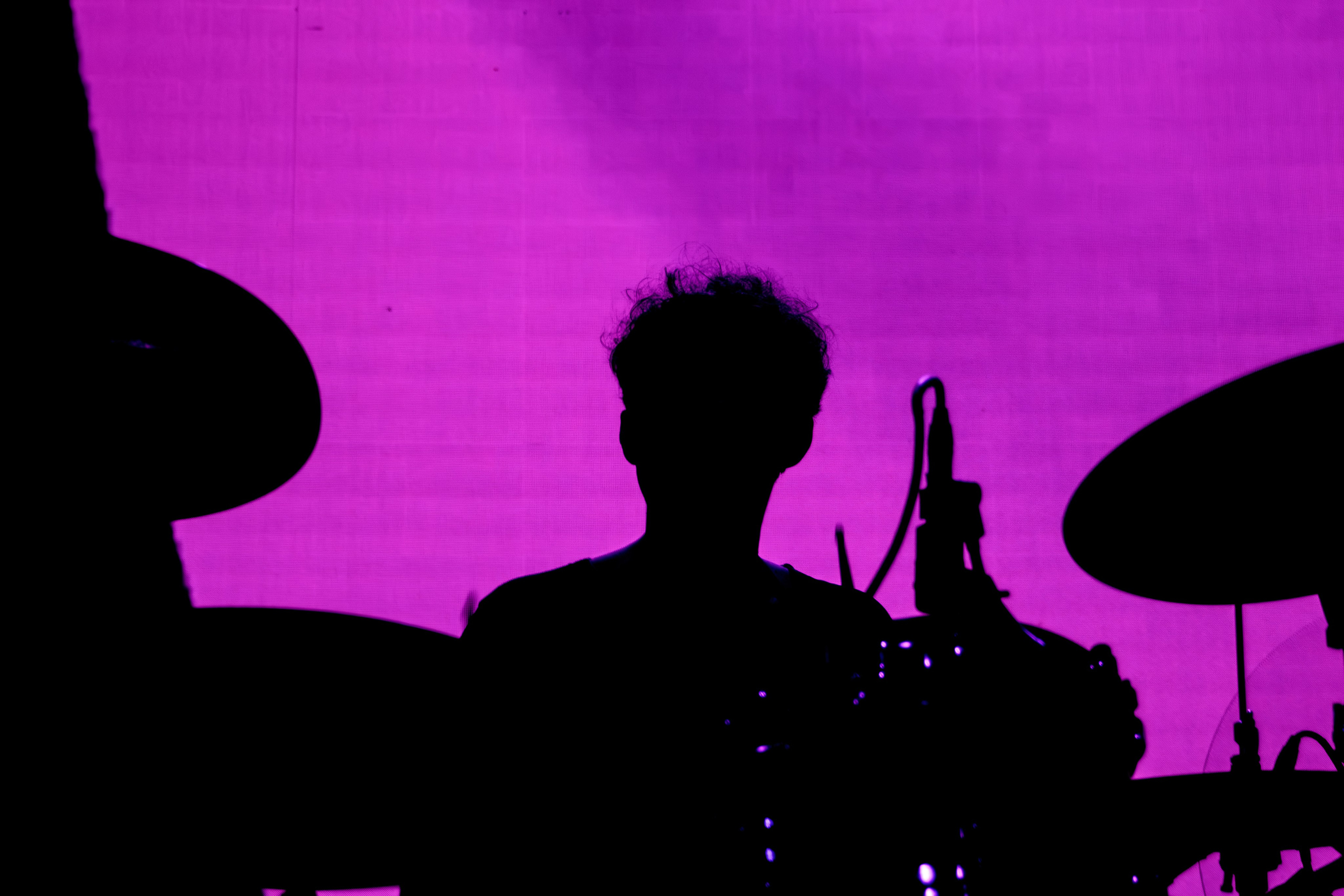 Дельфин. Портретный и концертный фотограф в Санкт-Петербурге Егор Телятников