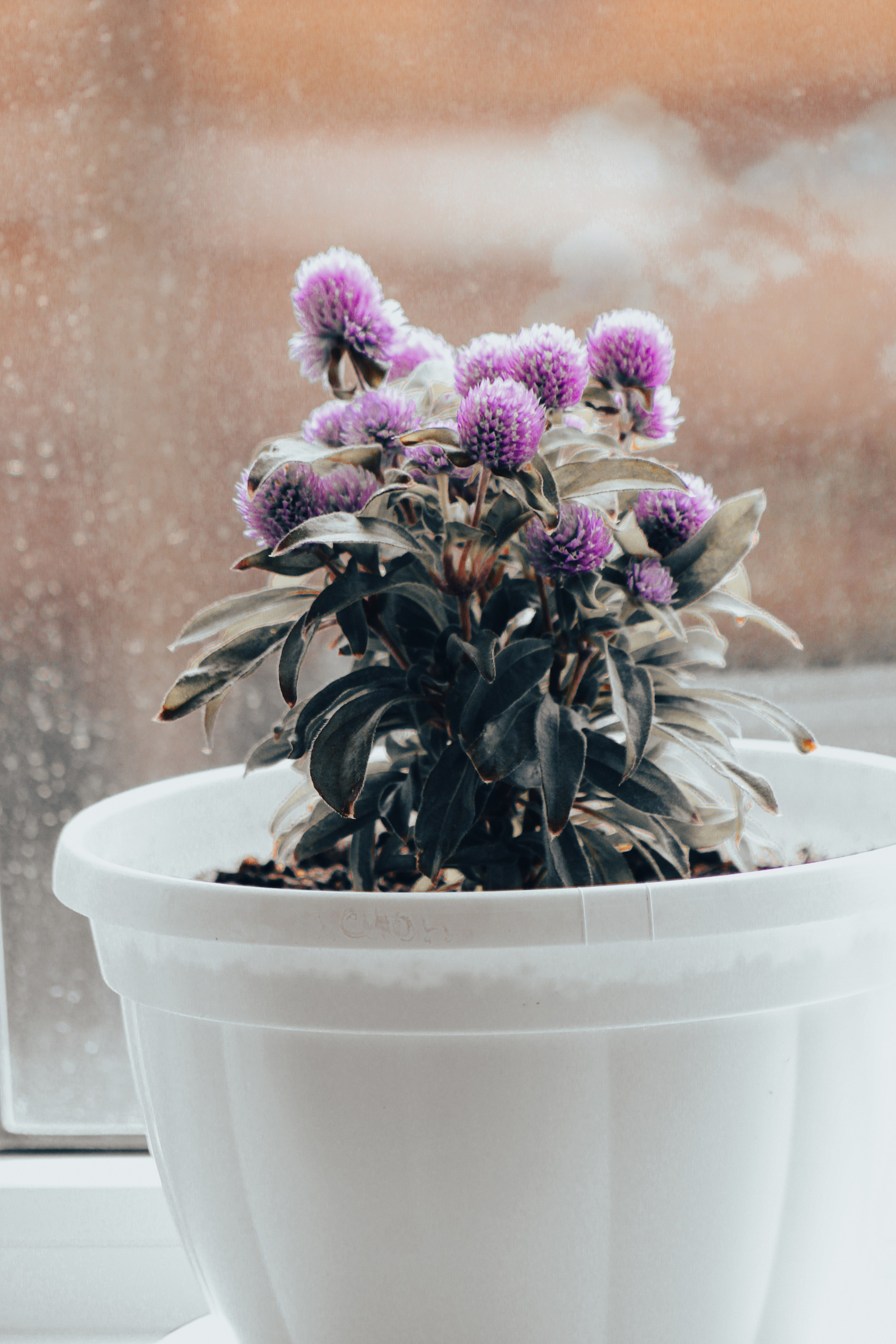 Никита и Ангелина. Илья Чемис — Фотограф в Мариуполе