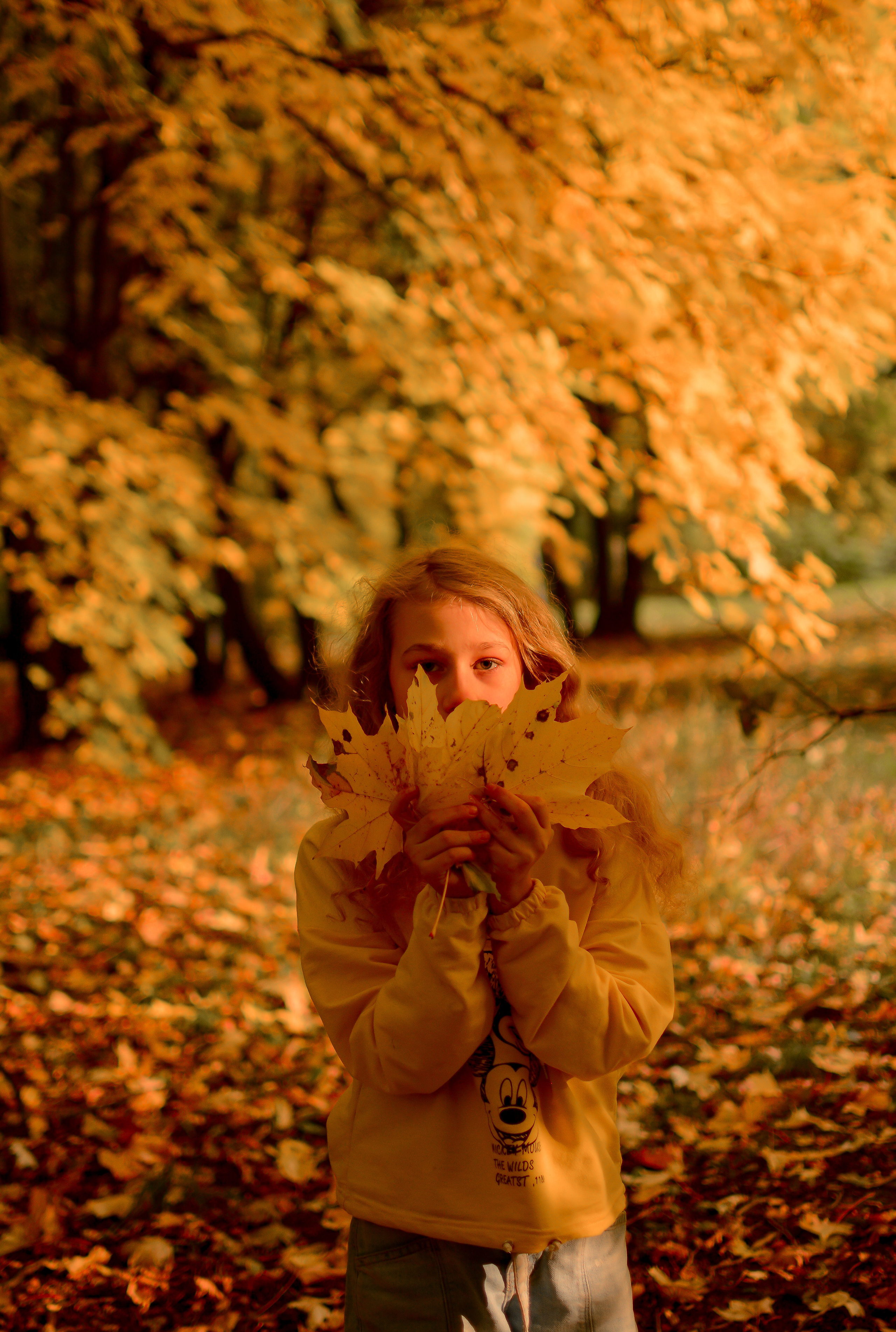 На Поклонке. Семейный фотограф
