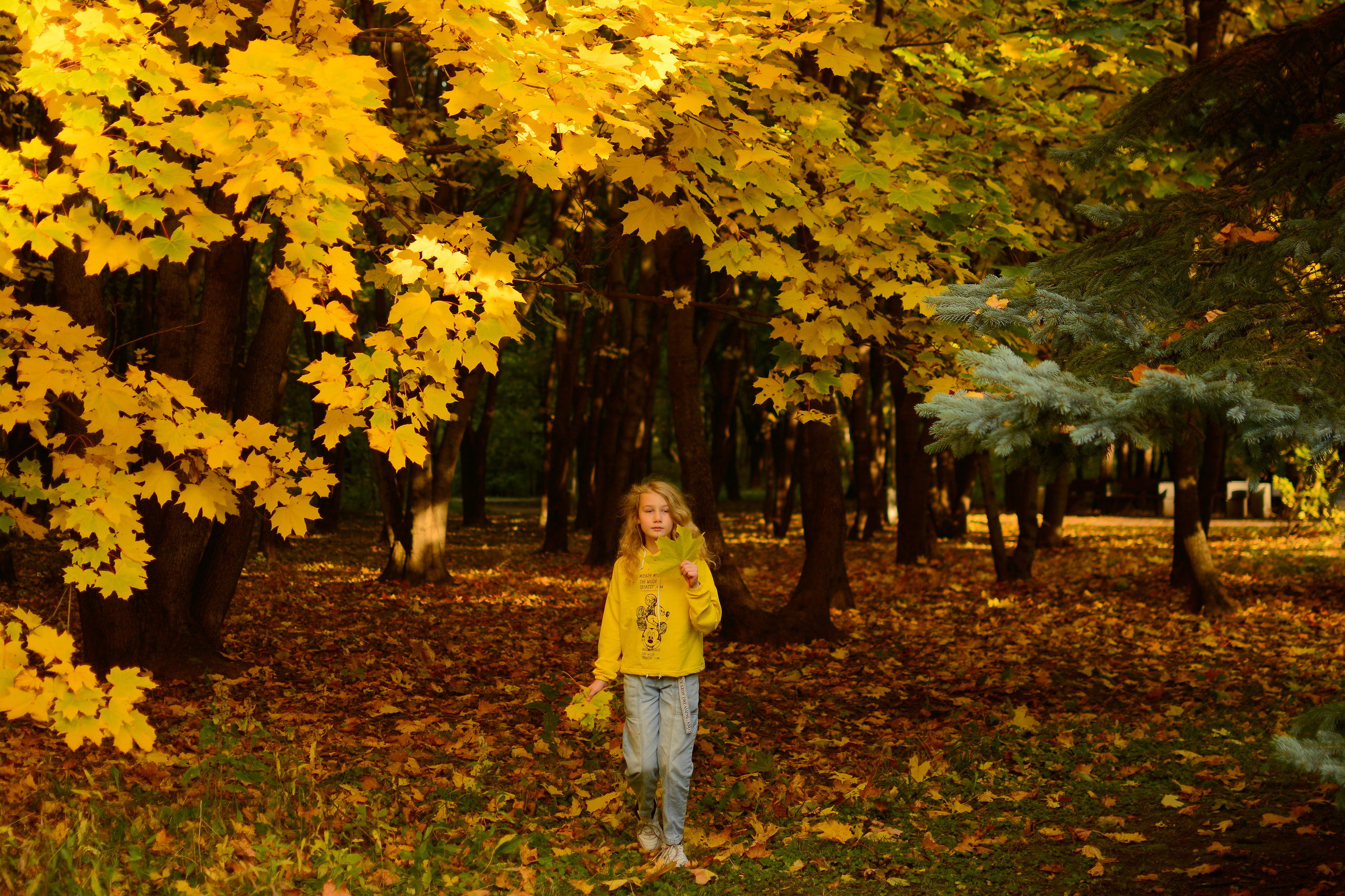 На Поклонке. Семейный фотограф