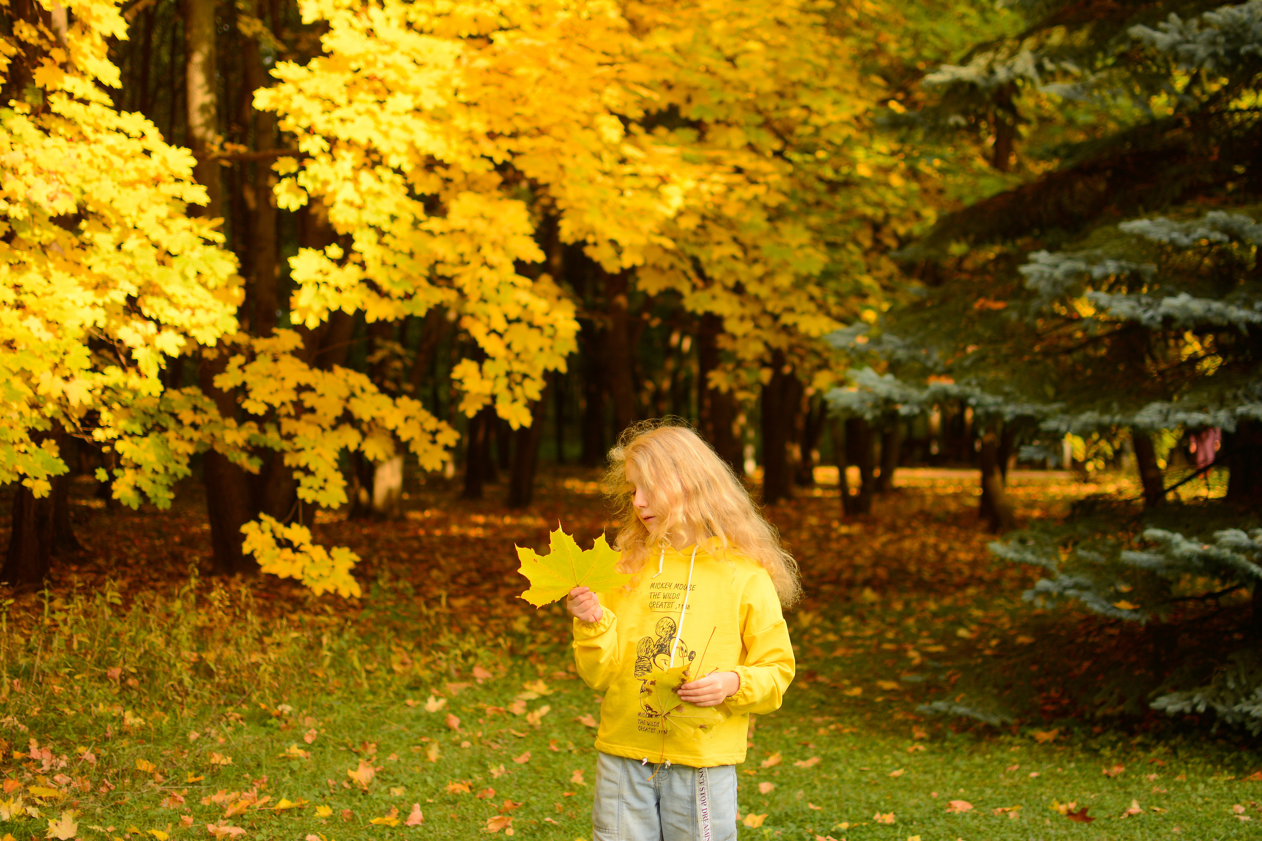 На Поклонке. Семейный фотограф
