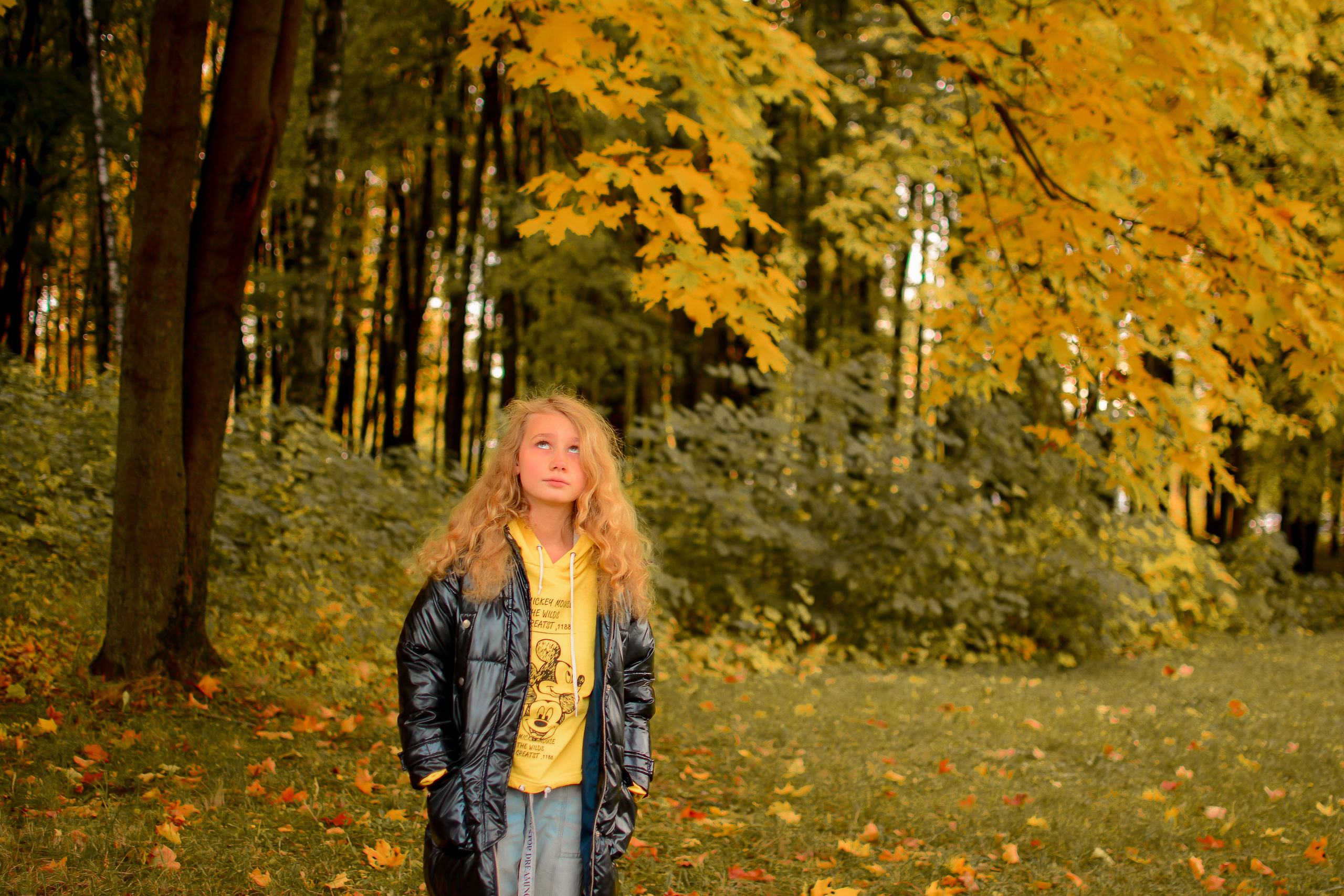 На Поклонке. Семейный фотограф