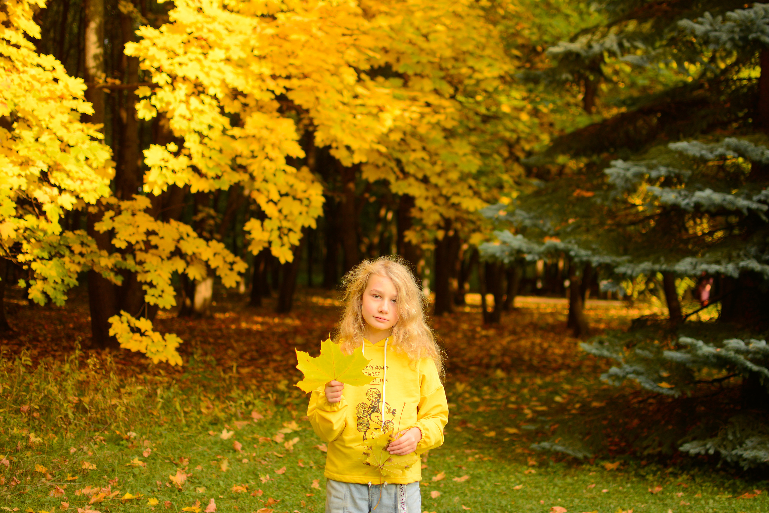 На Поклонке. Семейный фотограф
