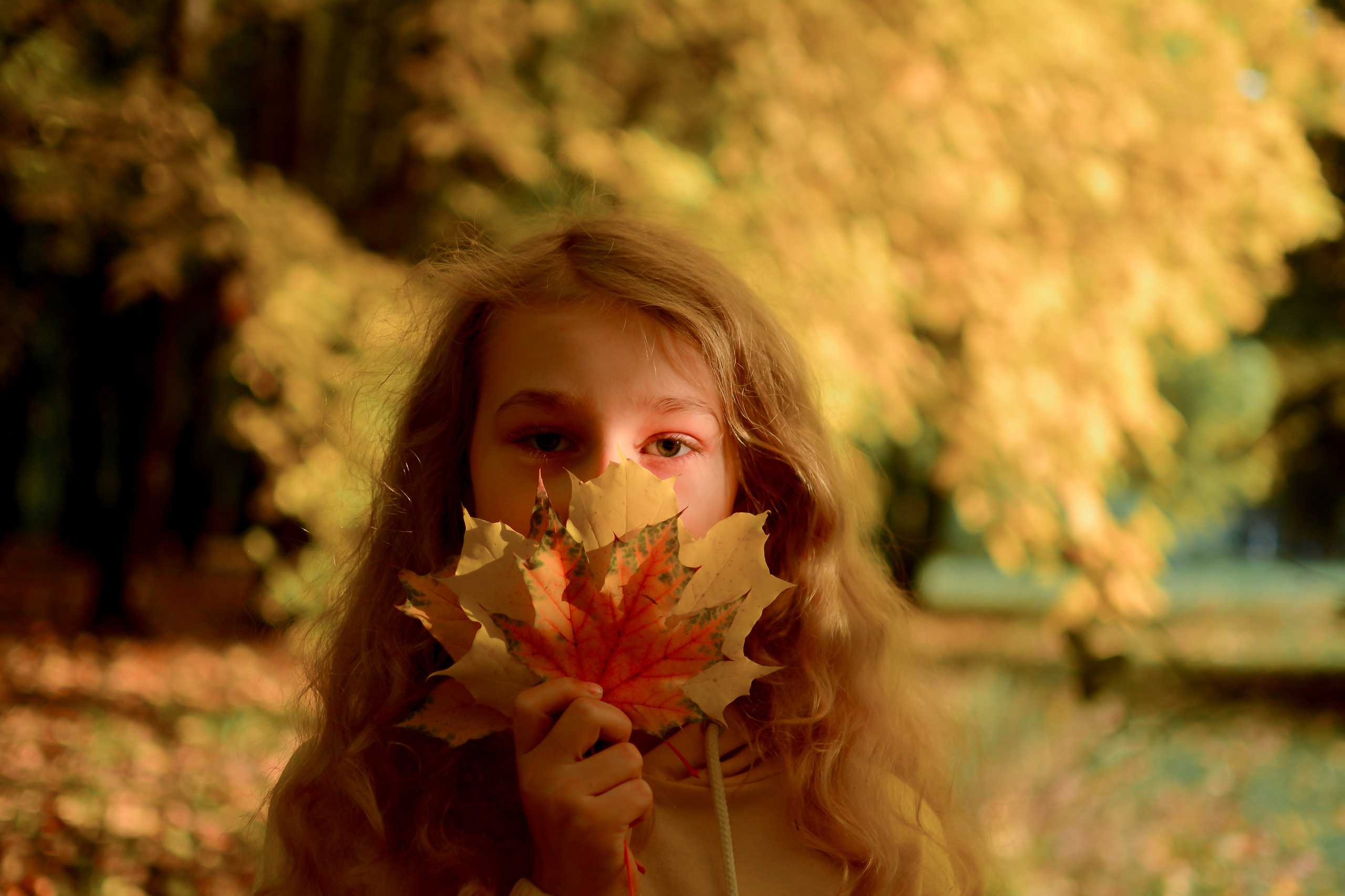 На Поклонке. Семейный фотограф
