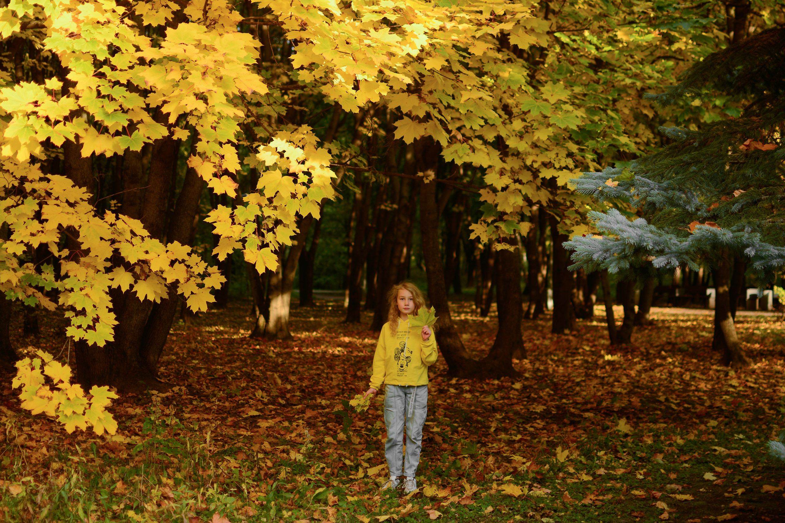 На Поклонке. Семейный фотограф