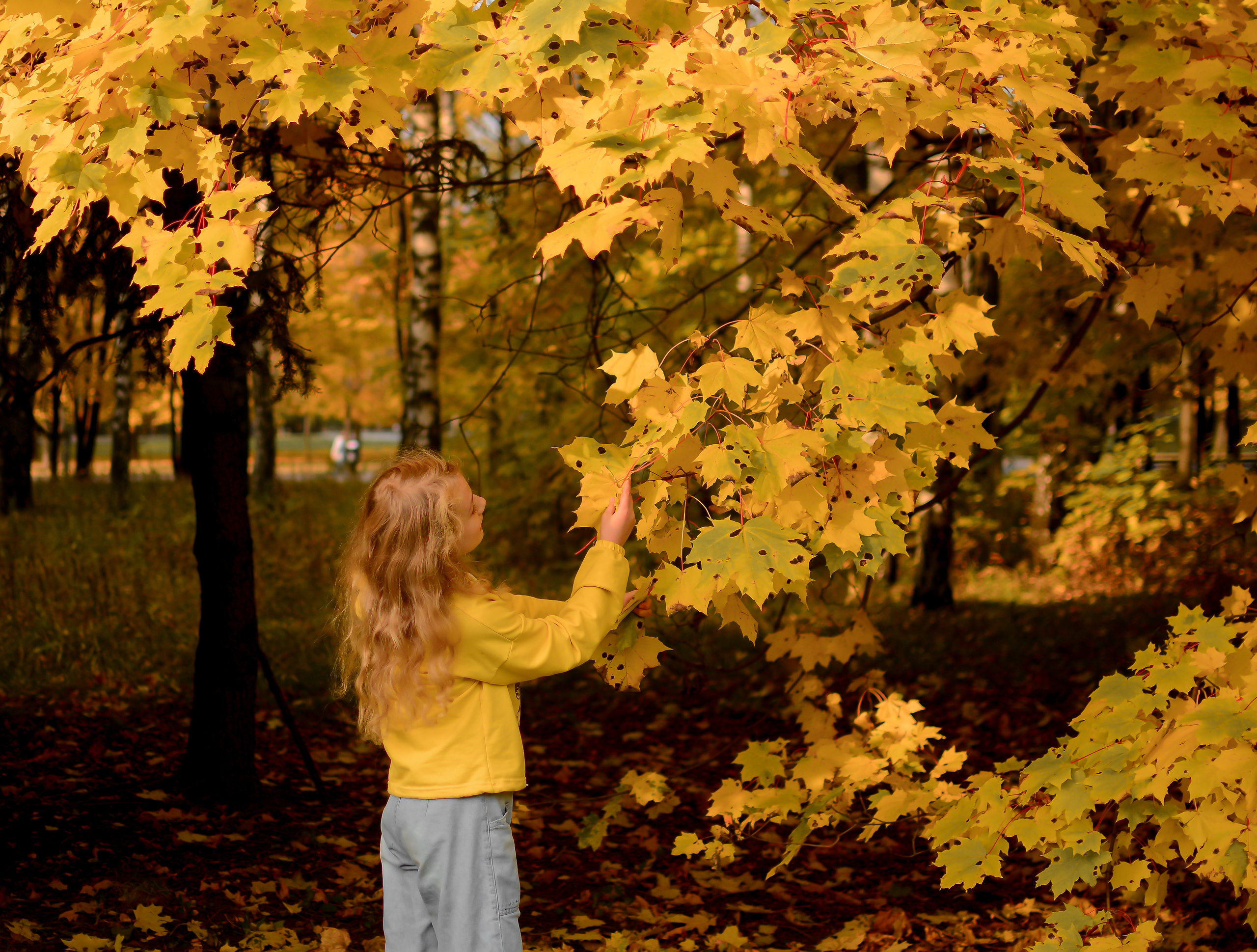 На Поклонке. Семейный фотограф