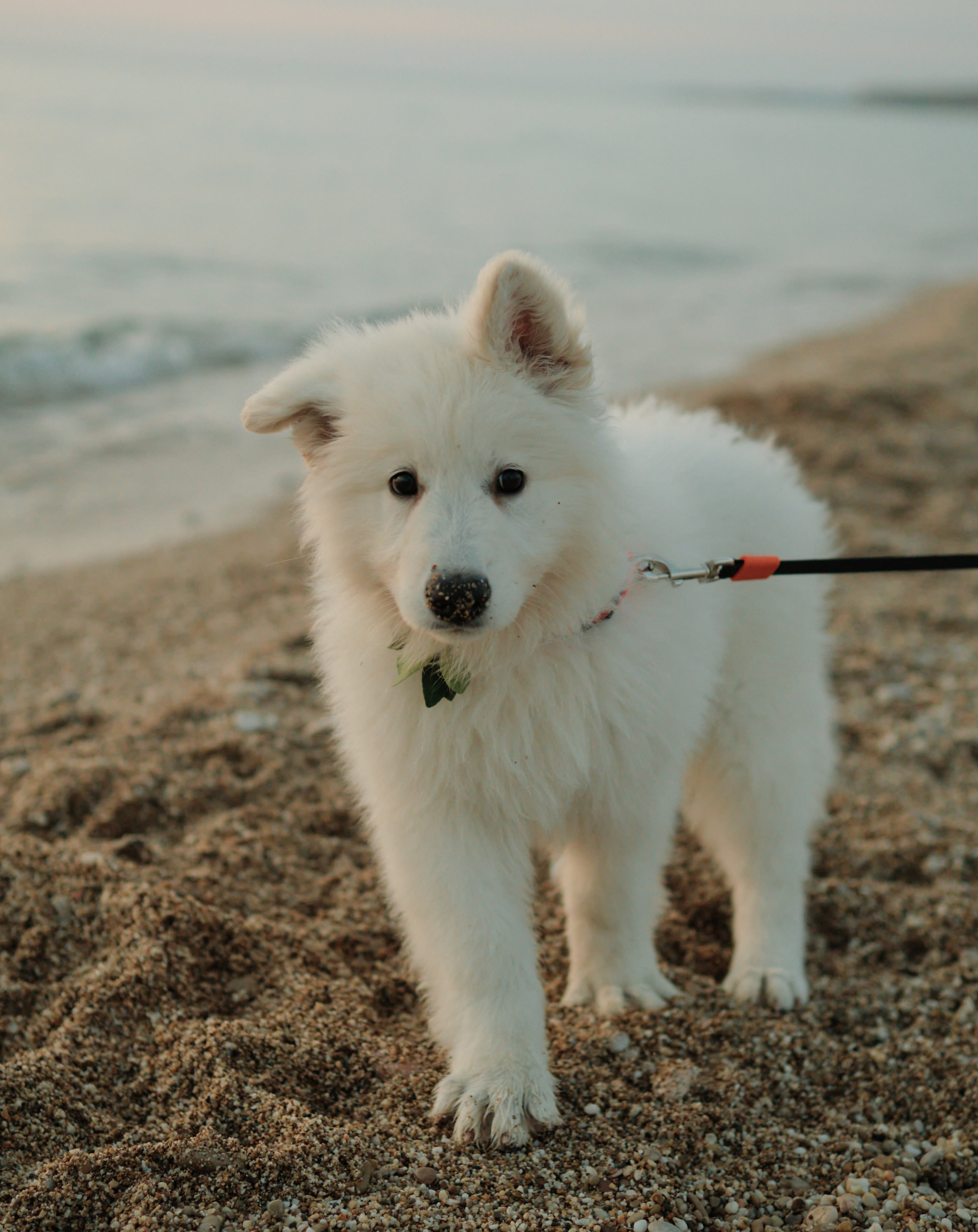 Вместе — и это все, что важно. Фотограф Карелина Полина