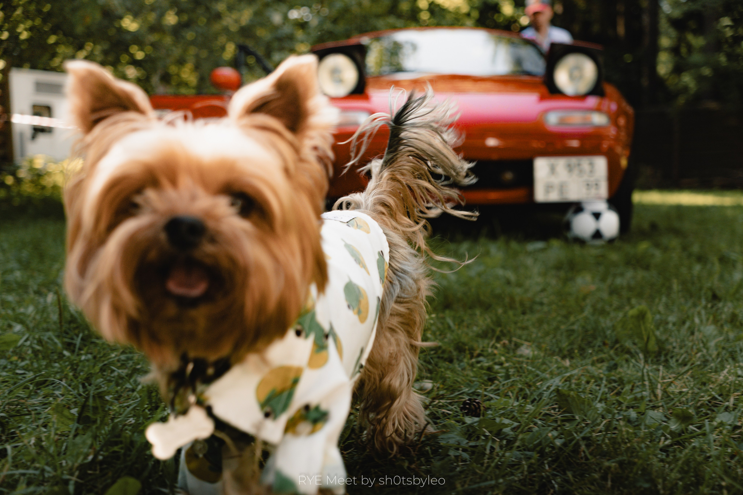 Масштабный летний фестиваль RYE Meet — встреча клуба любителей автомобилей старше 25-лет. Автомобильный фотограф Антон Цырулев