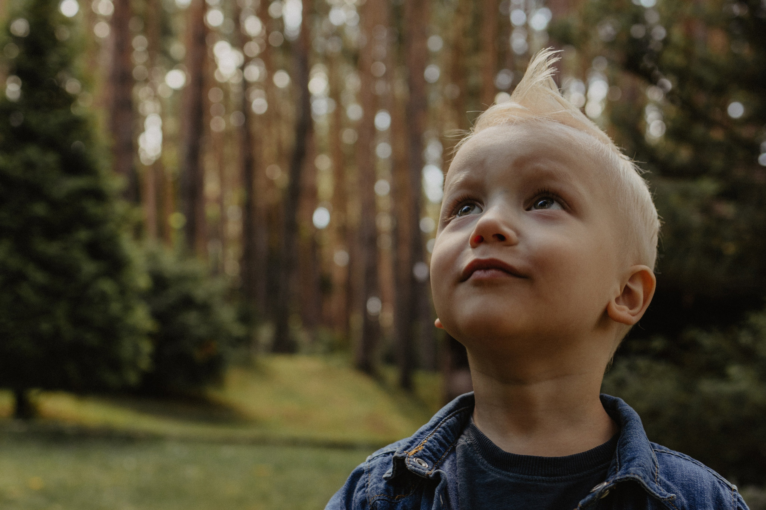 В Донском лесу. Семейный лайфстайл фотограф в г. Липецк