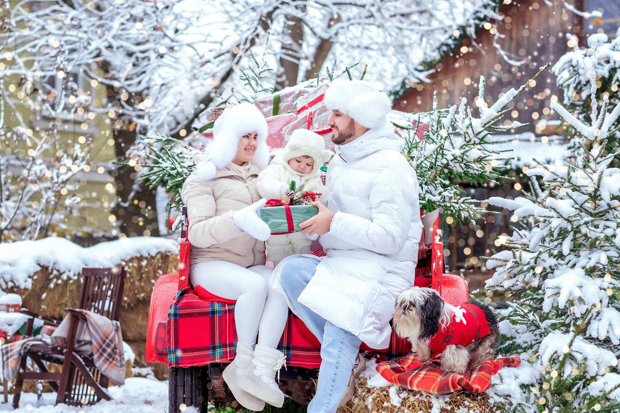 НОВЫЙ ГОД и Рождество УЛИЧНЫЕ локации. Фотограф Алина Лебедь