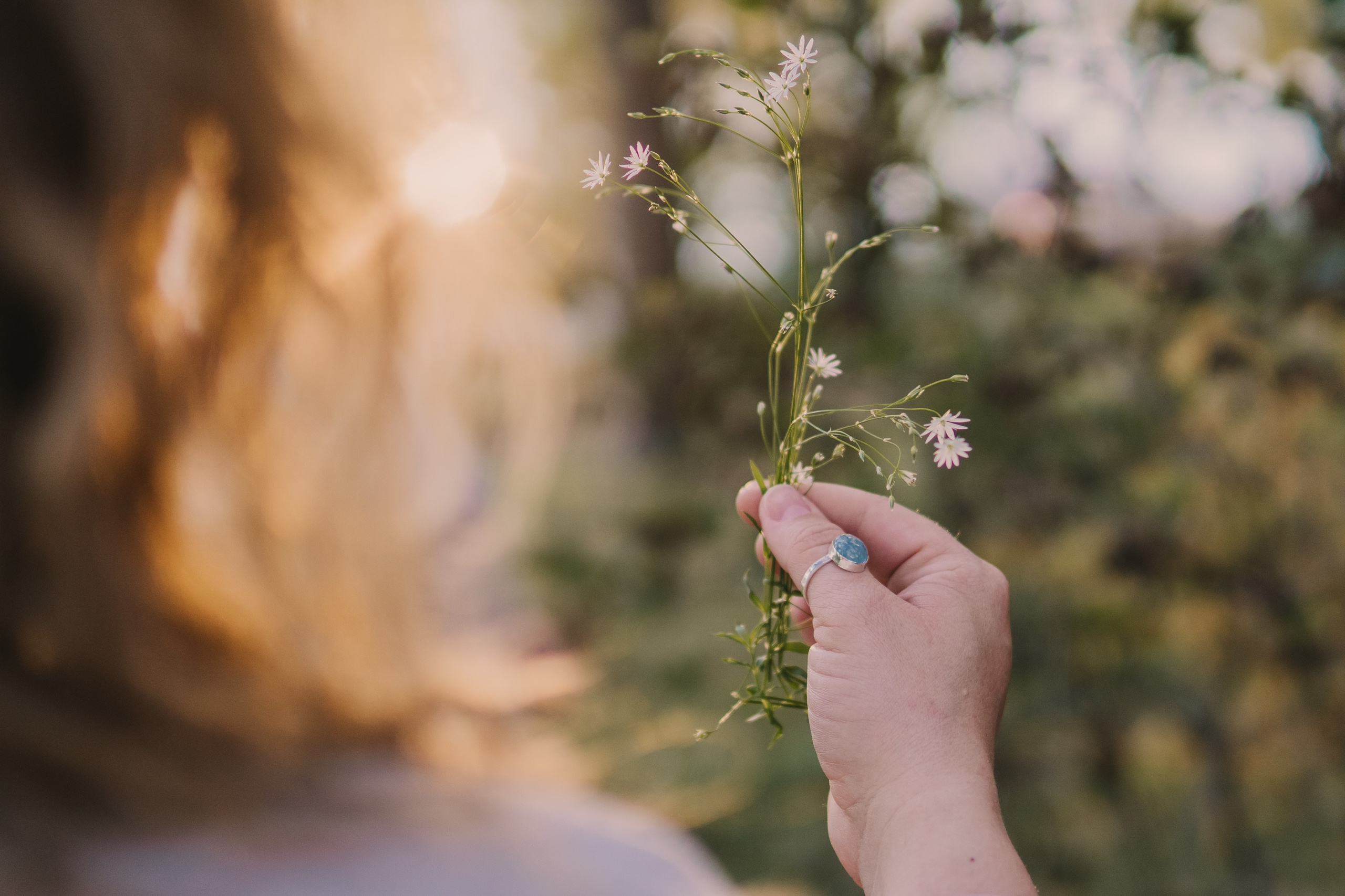 Soul Portrait. Saamill