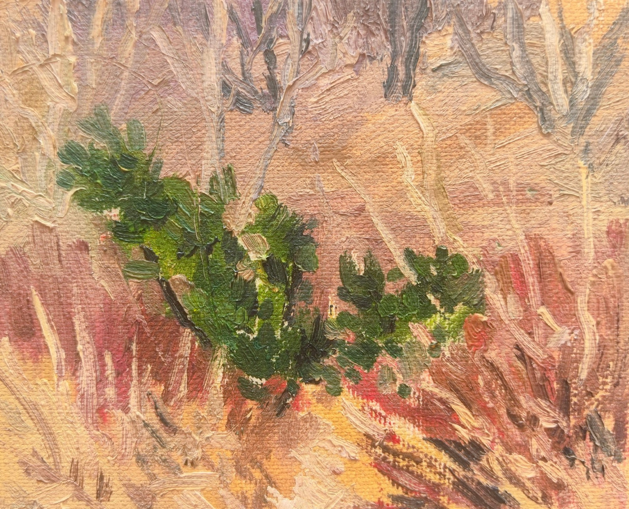 Этюды Камчатка. Художник и гид по Камчатке Евгений Чайкин