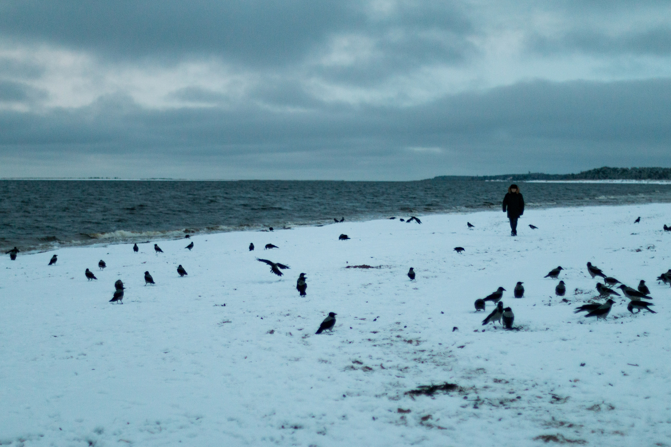 Русский север, Белое море, Архангельск. Фотограф в Сочи