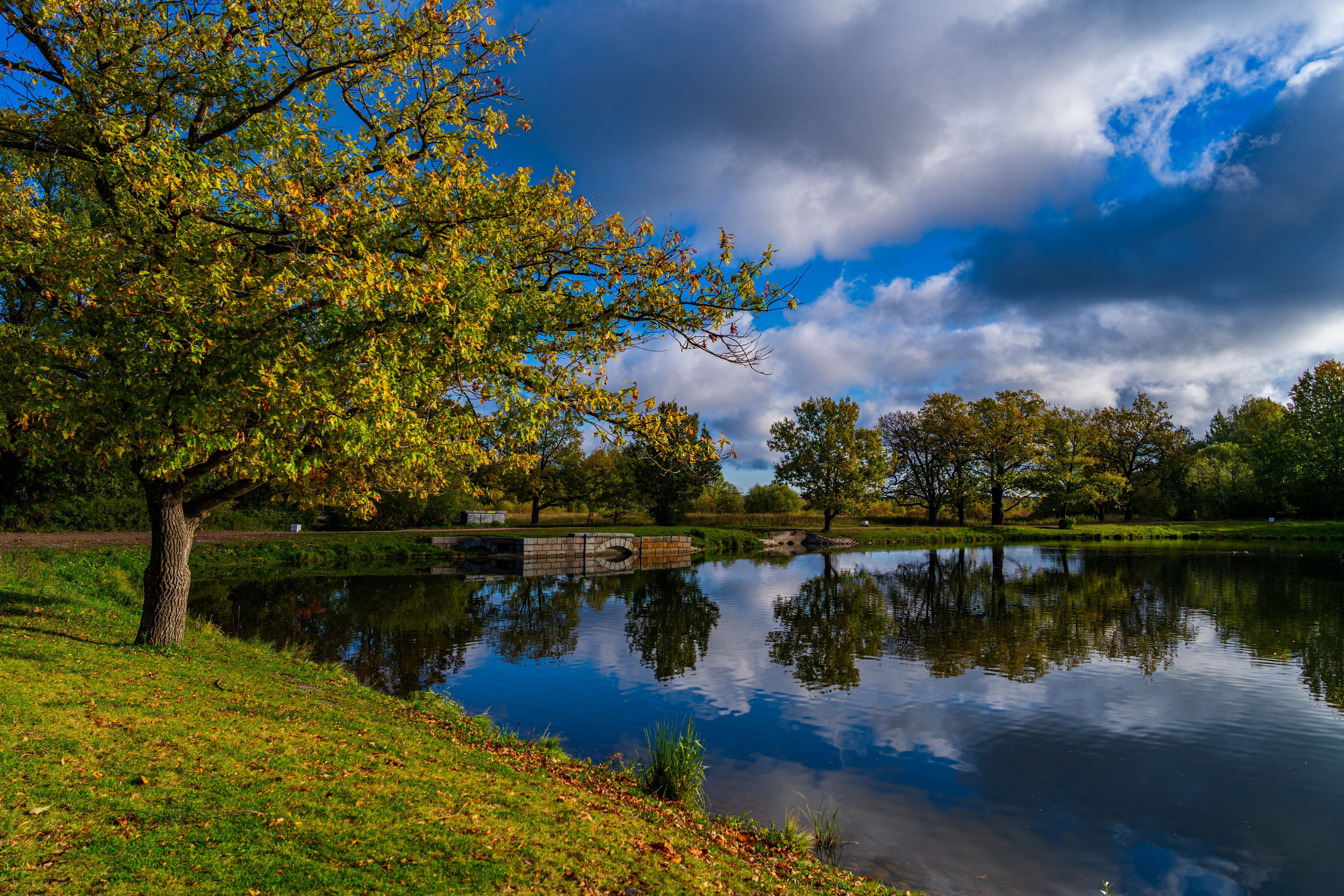 Ретушь. Фотограф в Санкт-Петербурге Александра Паскевич