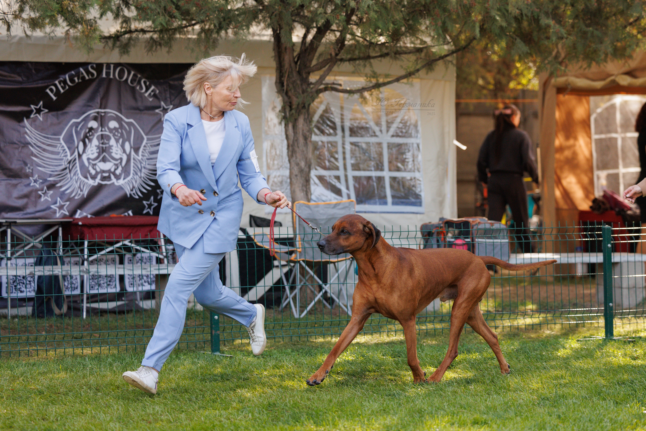 Бишкек 3х CACIB 26-28.09.2025. Фотограф-анималист Юлия Германика