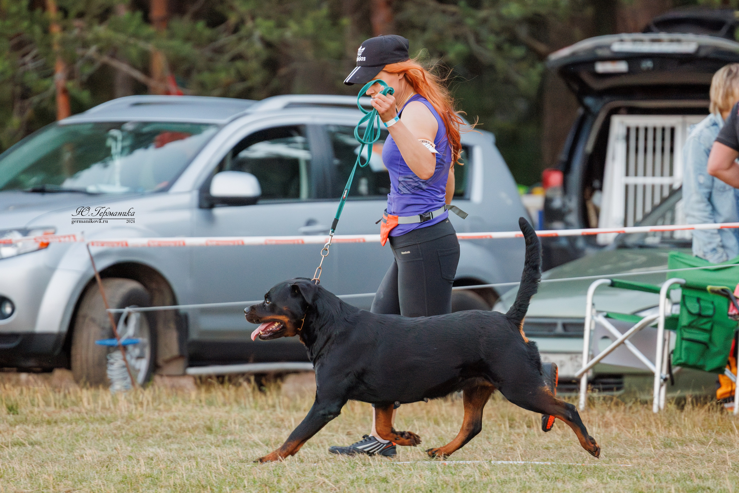 ПК и КЧК ротвейлеры Тверь 6-7.07.2024. Фотограф-анималист Юлия Германика