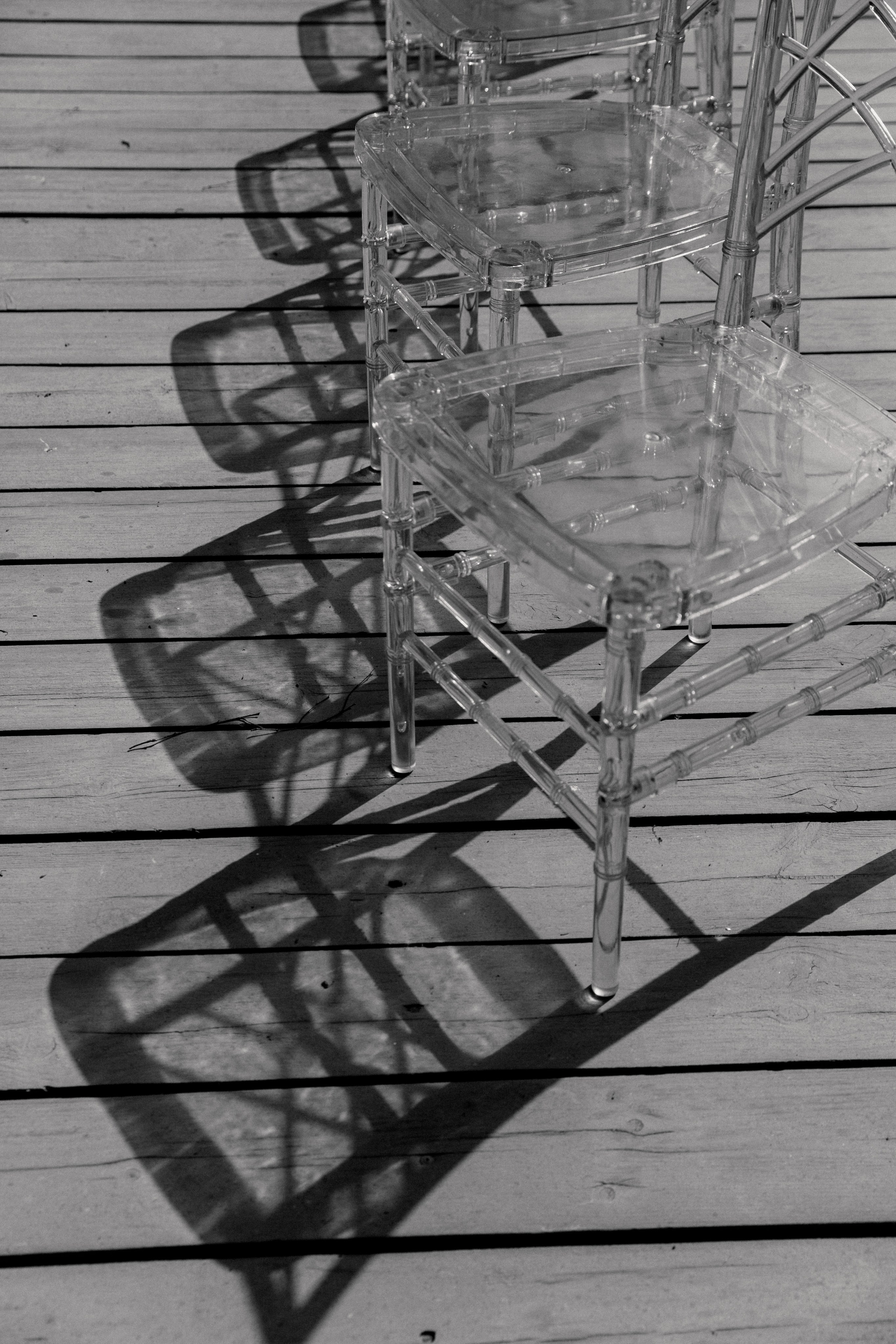 Dog Friendly. Свадебный и репортажный фотограф