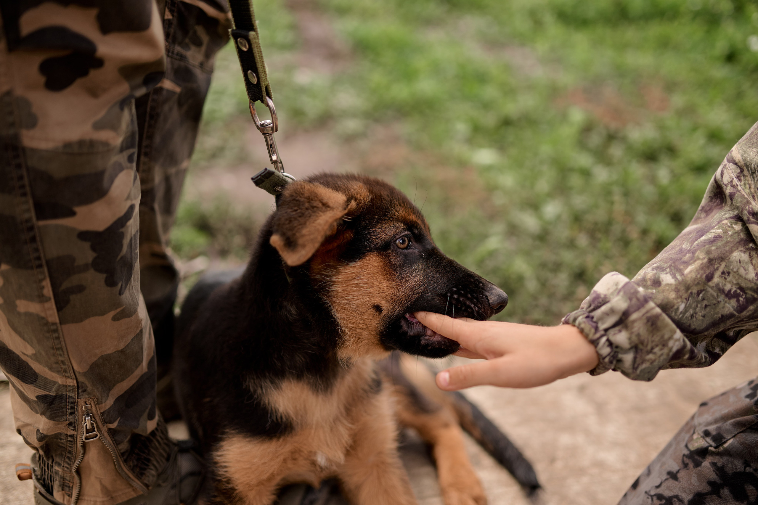 4 этап кубка Ракета 2025 год. Сергей Богомолов. Свадебный и семейный фотограф
