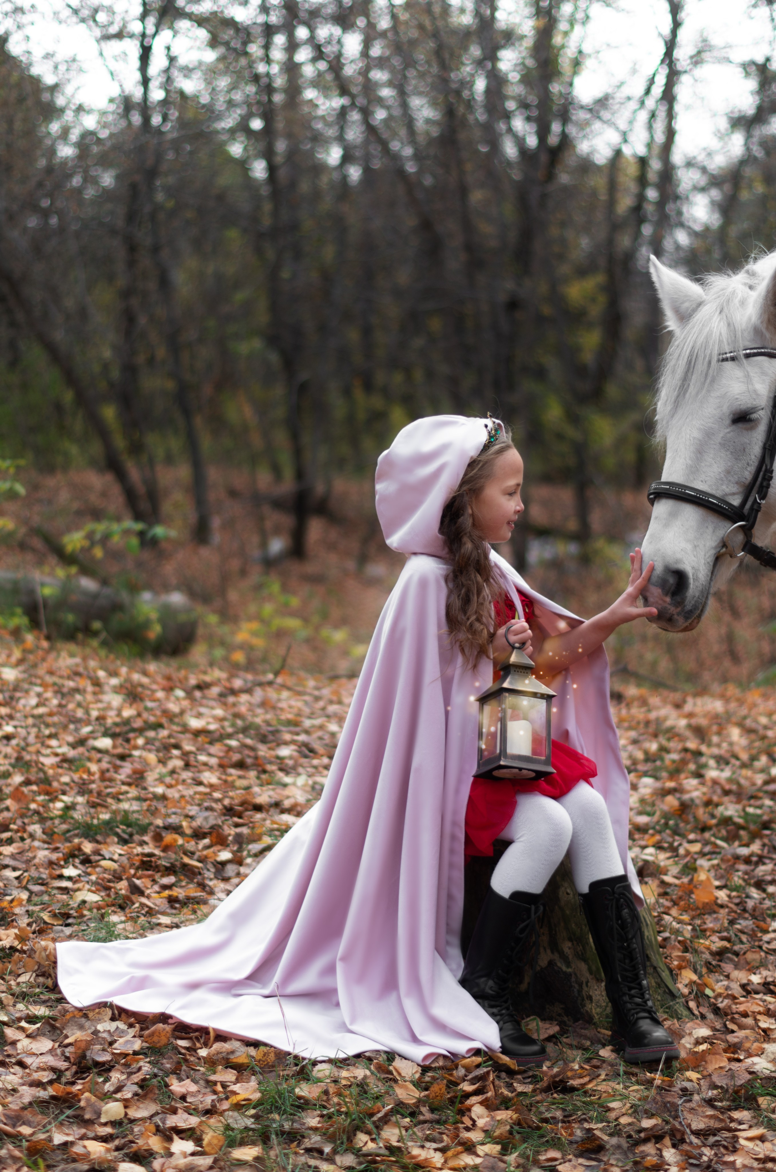 Фотограф Марина Доглядная Челябинск фотосессии с лошадьми, мотоциклами