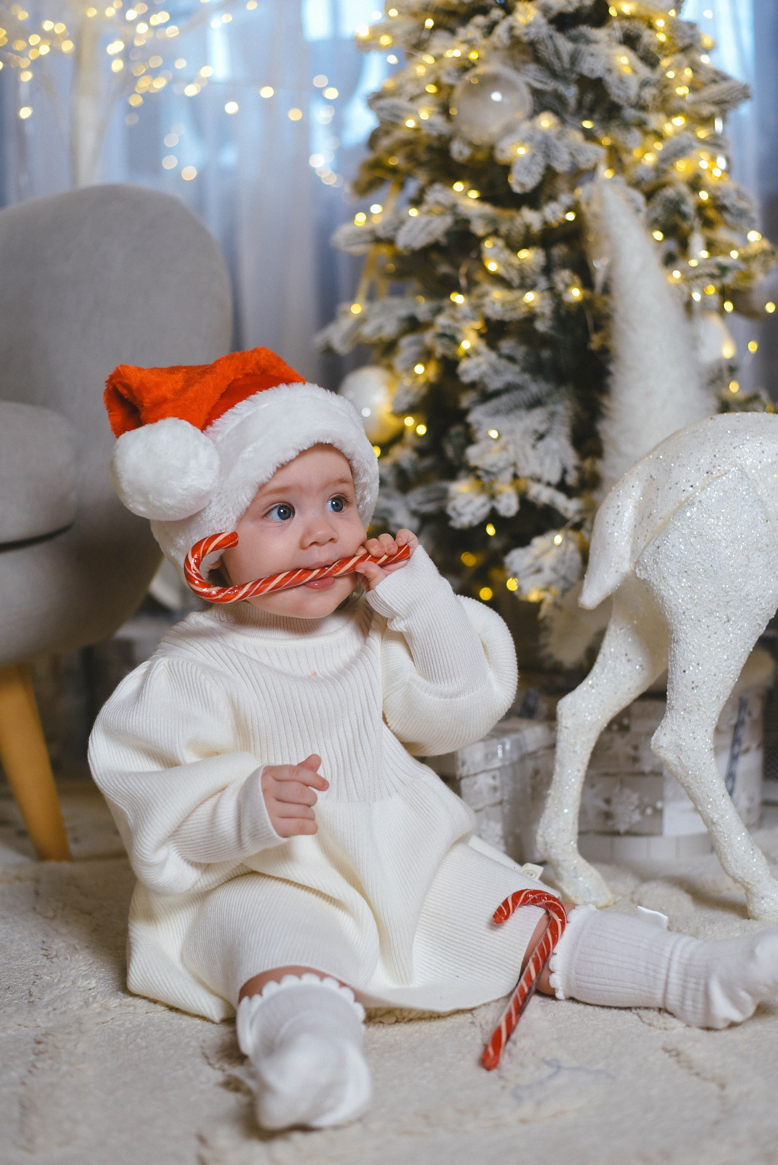 Аврора. Семейный фотограф в Москве и Севастополе Анастасия Котова