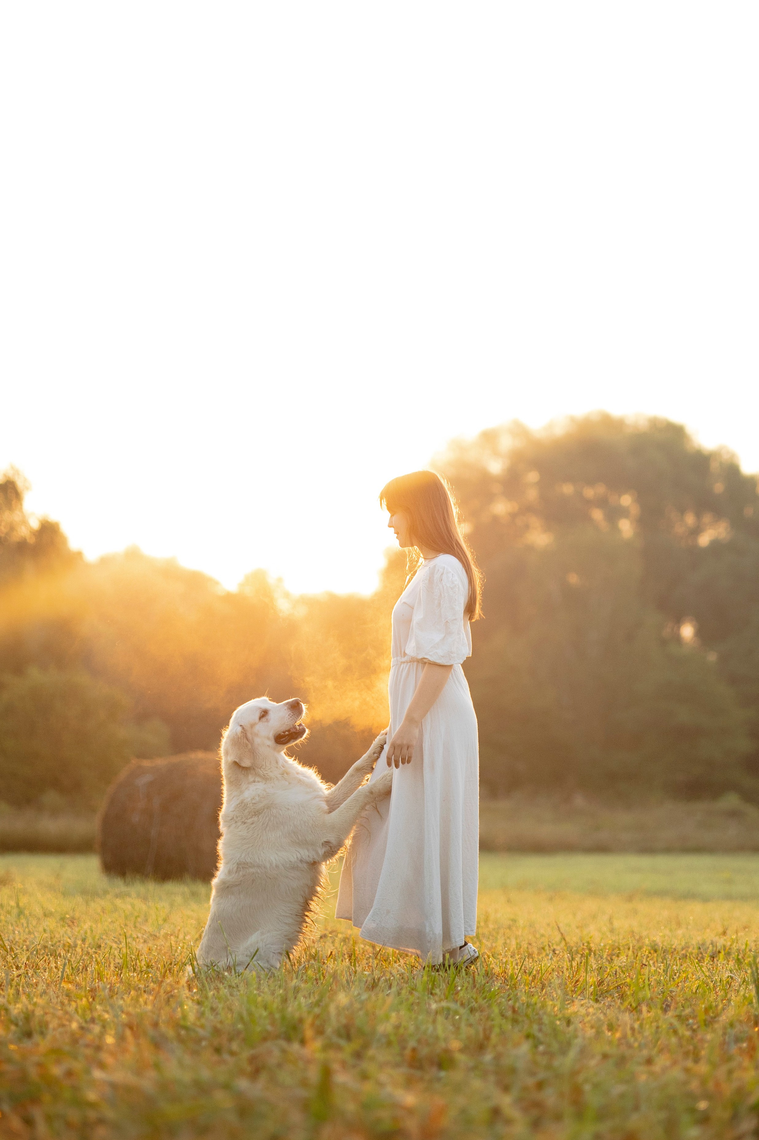 Рассветная съемка с собакой. Анастасия Белаш