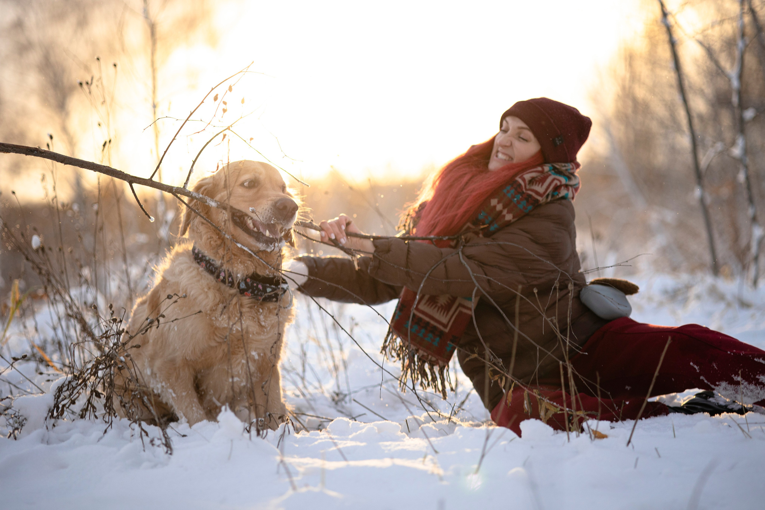Съемка с собакой. Анастасия Белаш