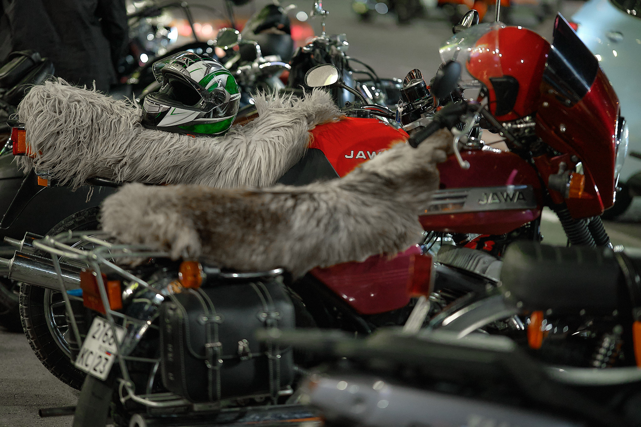 МЧ 23.09.2023. Константин Тимонин — фотограф в Краснодаре