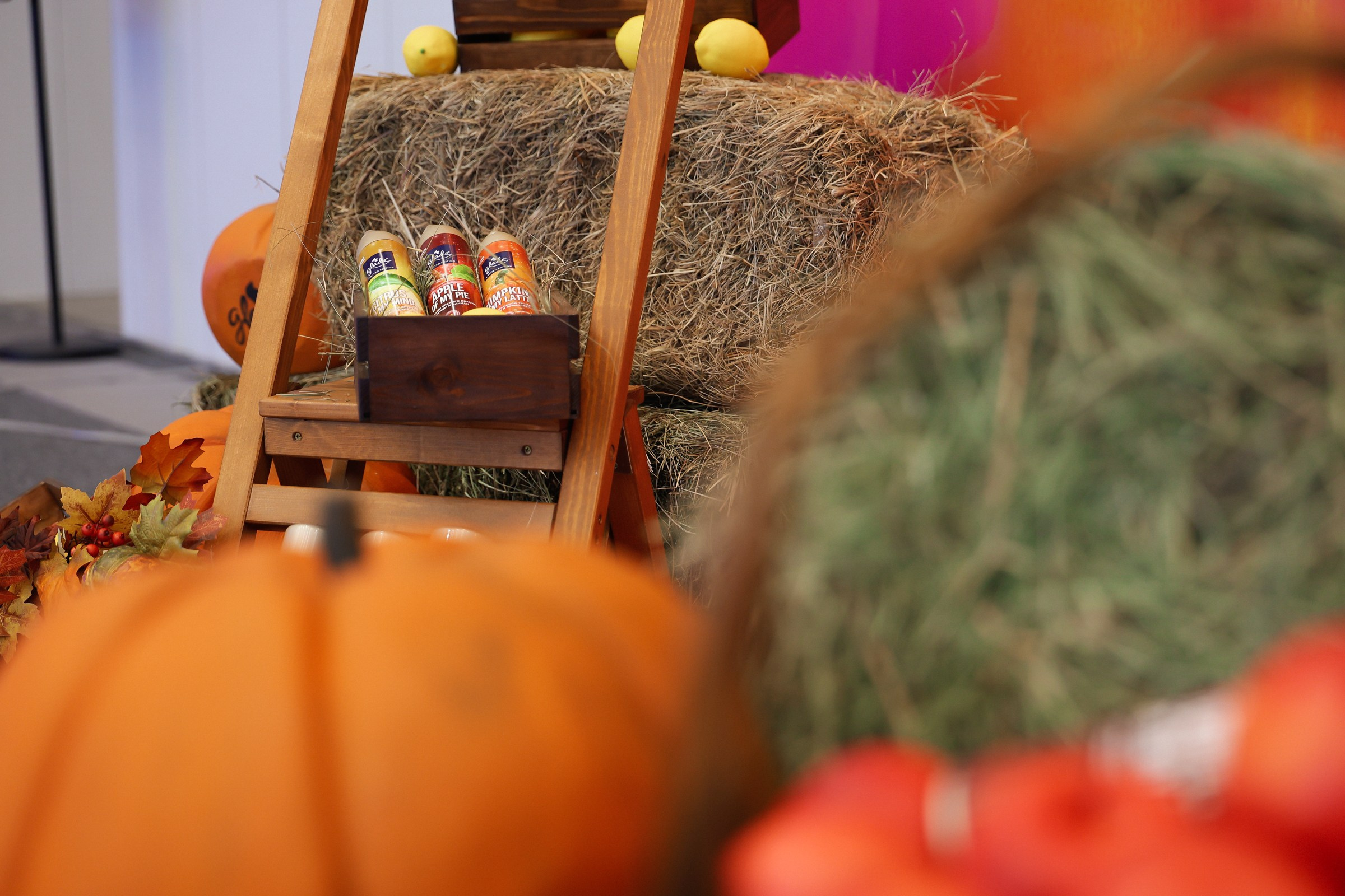 /РЕПОРТАЖ/ SC Johnson корпоративное мероприятие. Свадебный фотограф Великий Новгород Станислав Кособудский