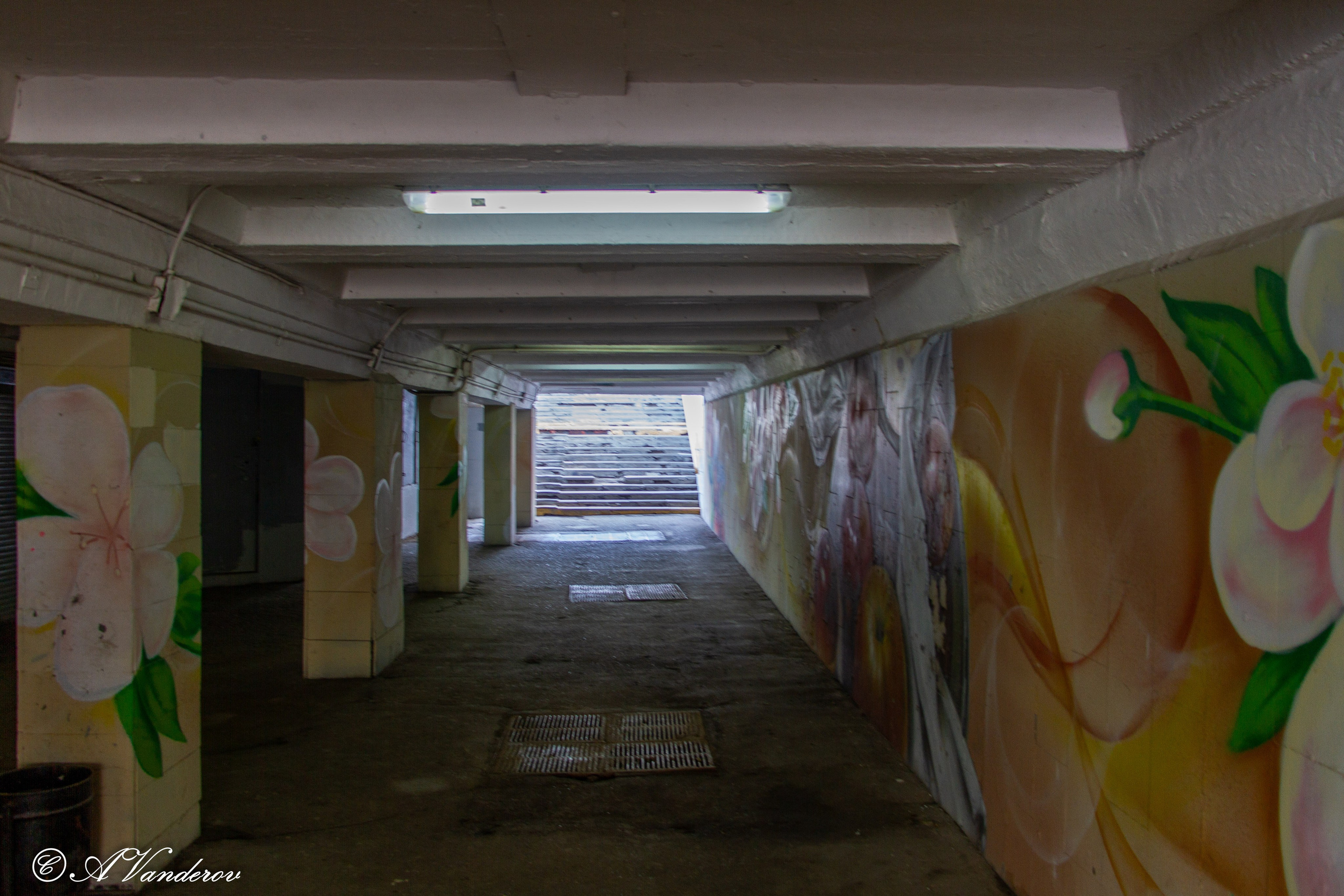 Омск 2024. Фотограф Омск | Александр Вандеров