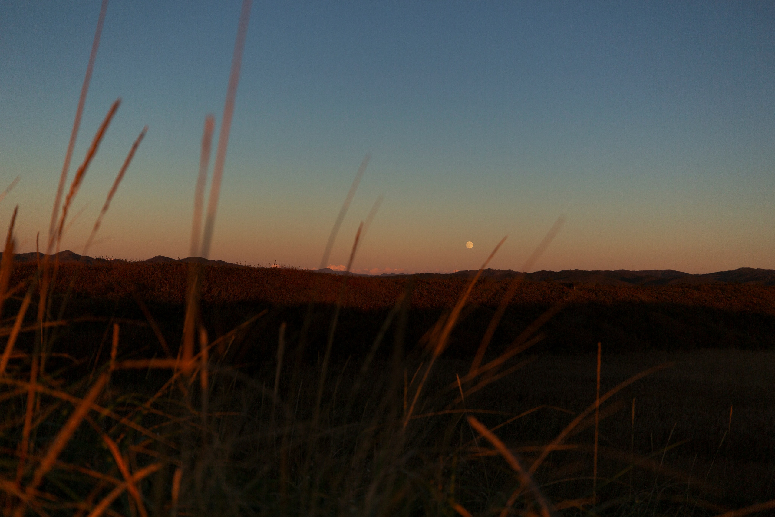 Первый день на Сахалине. Фотограф Даша Омельченко