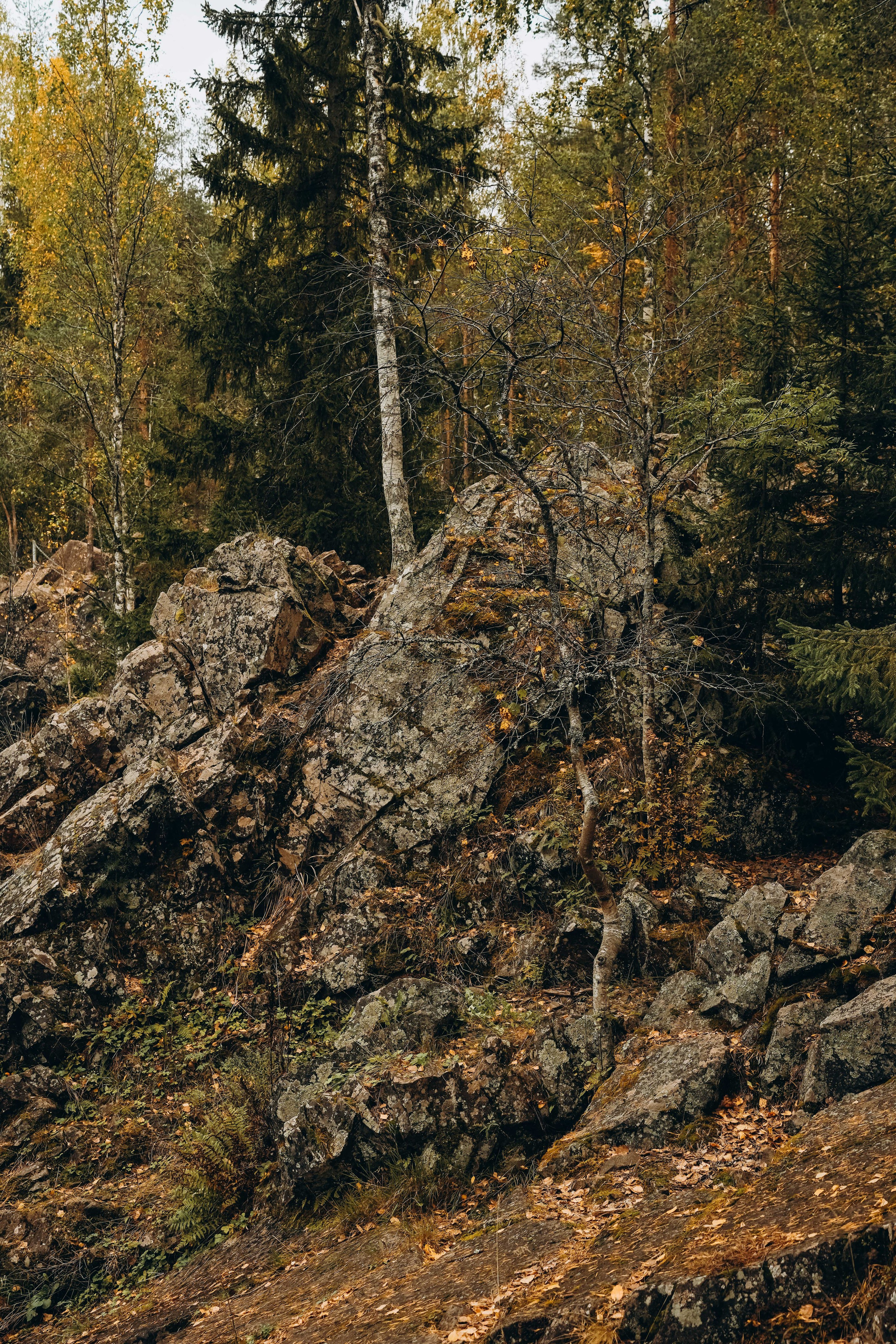 СЕВЕР. Event фотограф Степанова Александра