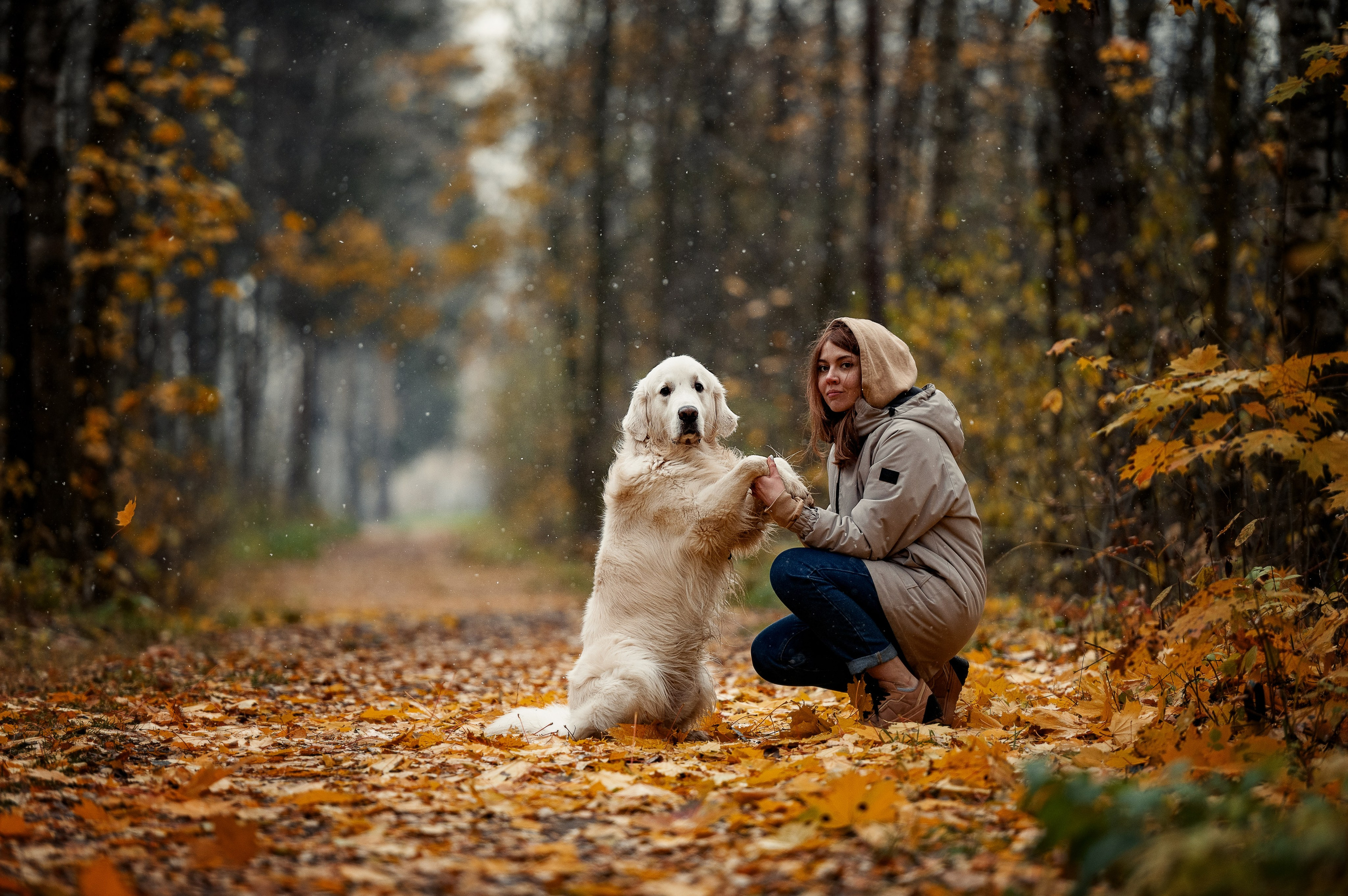 Айс и золотая осень. Фотограф-анималист