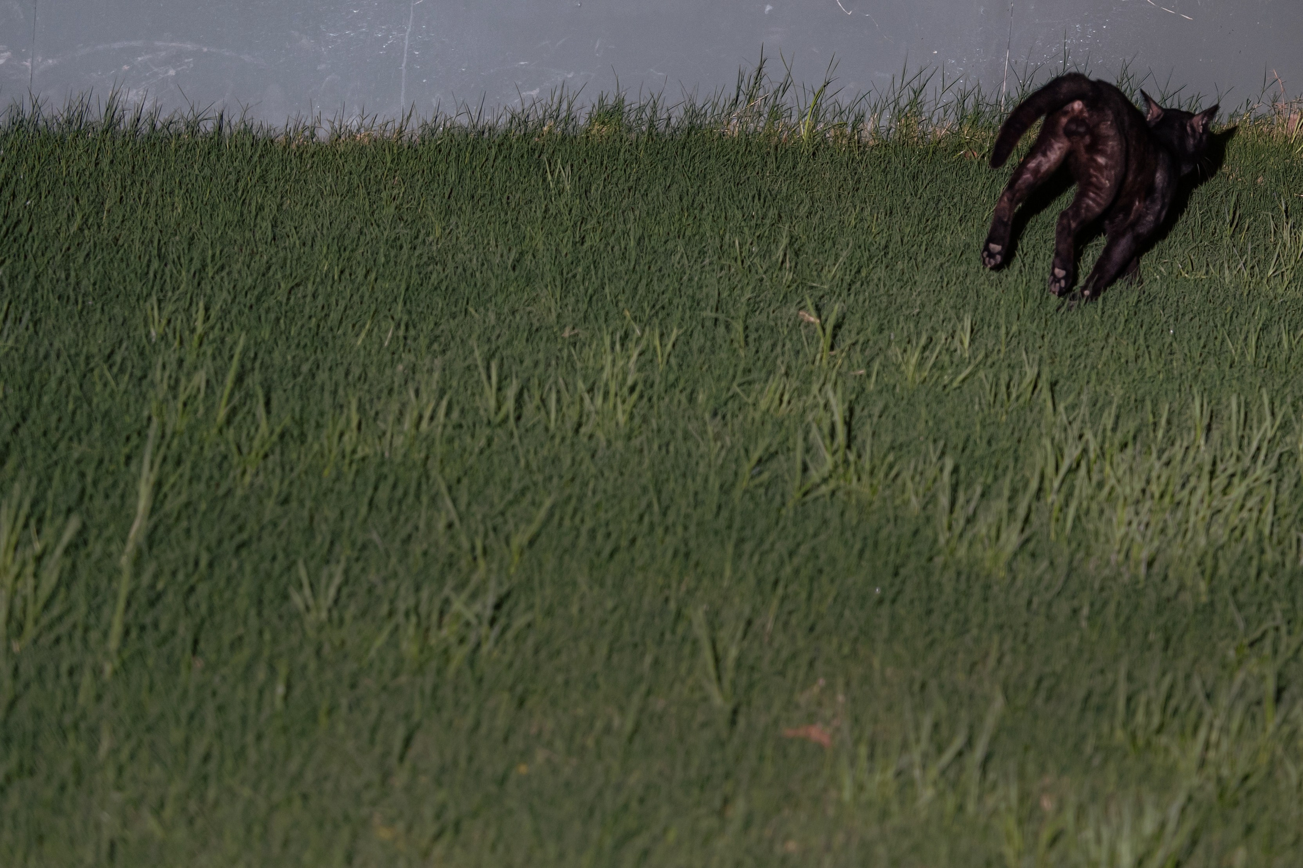 Casa Sur. Wedding & Documentary Photographer based in Nuremberg — available across Europe & Turkey | Vitalii Nasonov