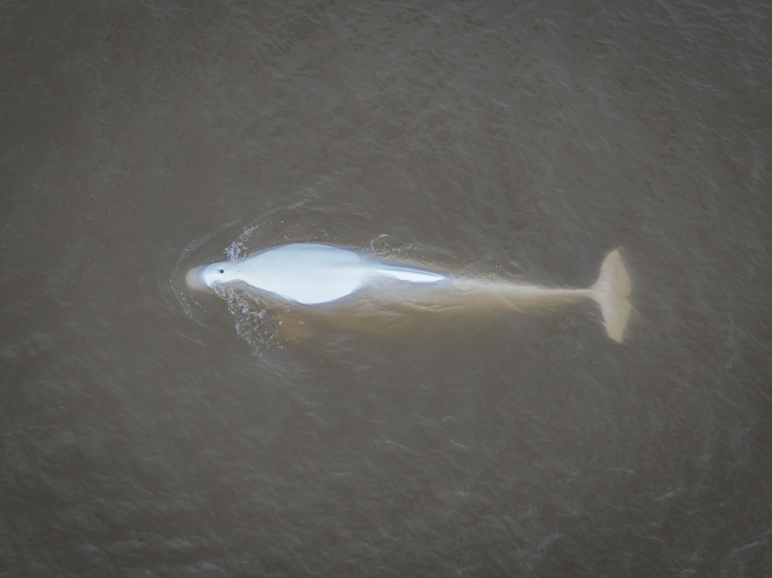 Чукотка. Gusarov Travel Photography