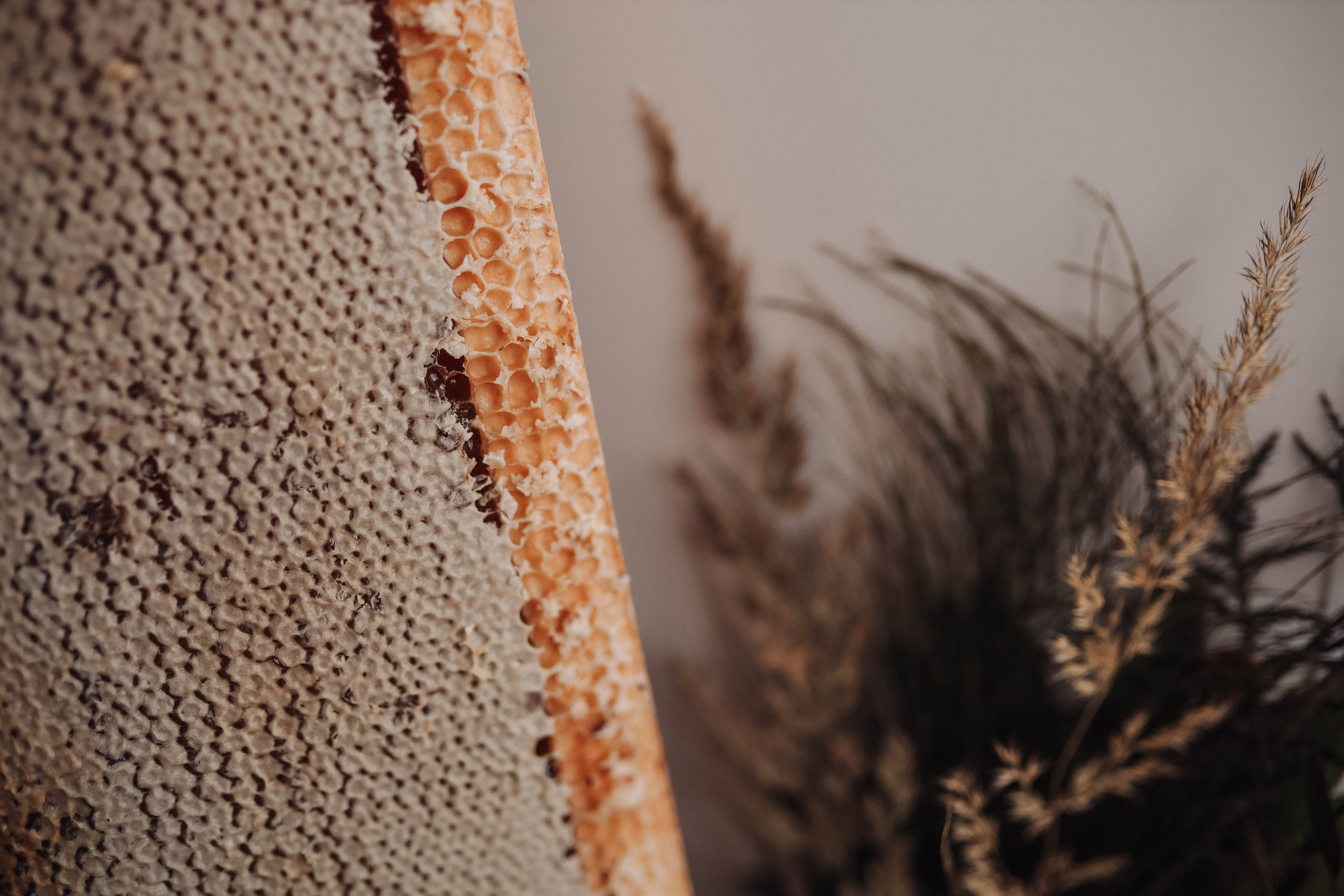 Мед. Фотограф  Ксения Евдокова. Дзержинск, Нижний, Москва, Питер