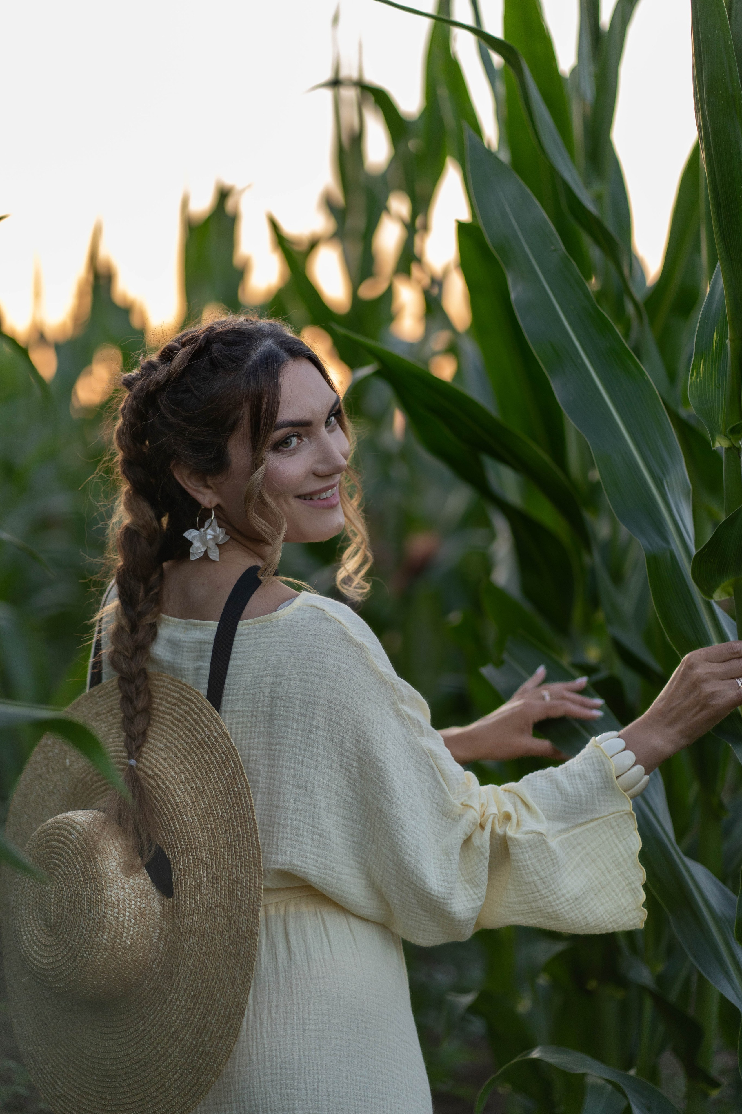 Кукурузное поле. Главная