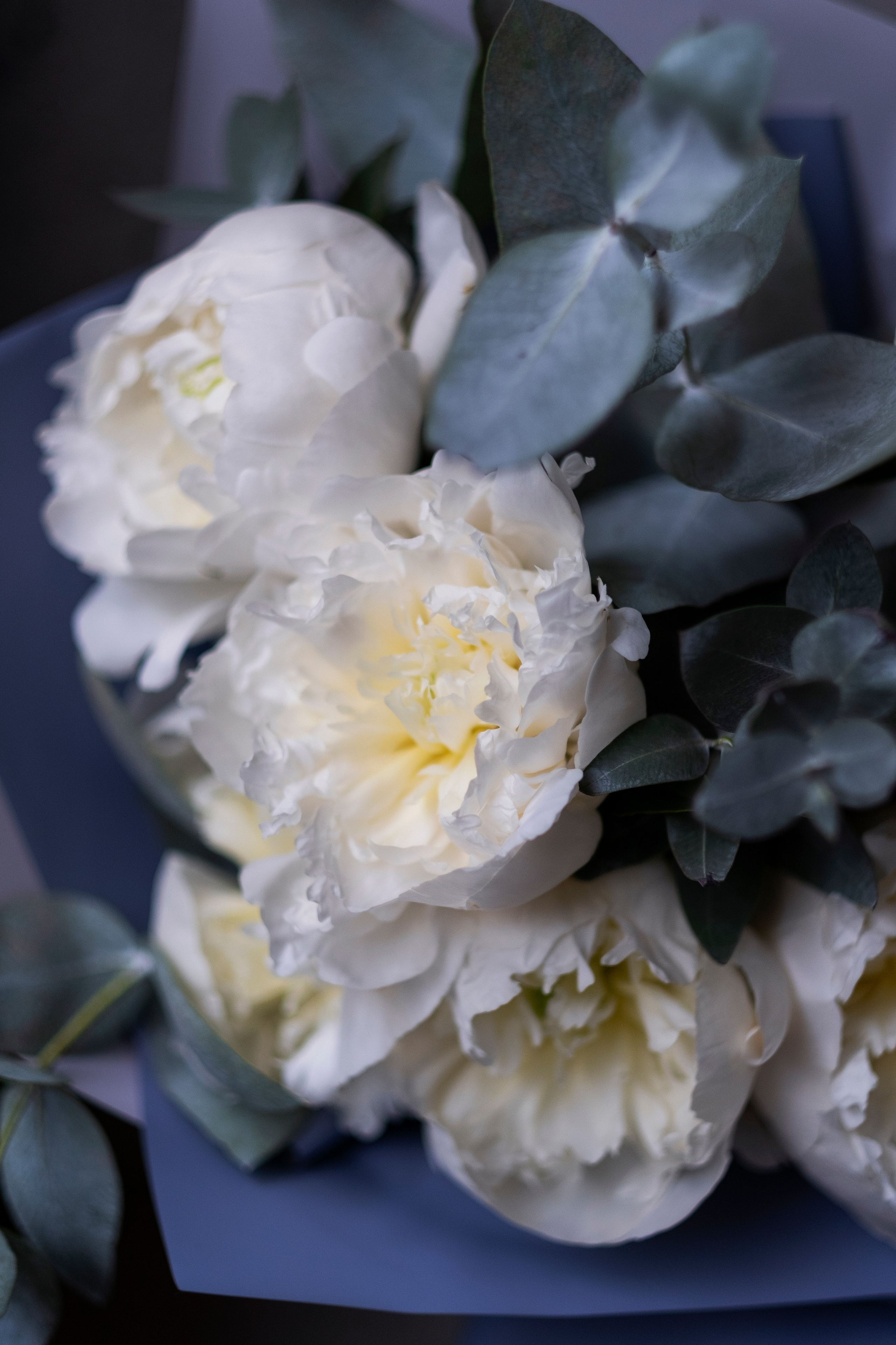 Цветочная студия Flower Garden. Профессиональный фотограф Ольга Терехова СПБ Батуми