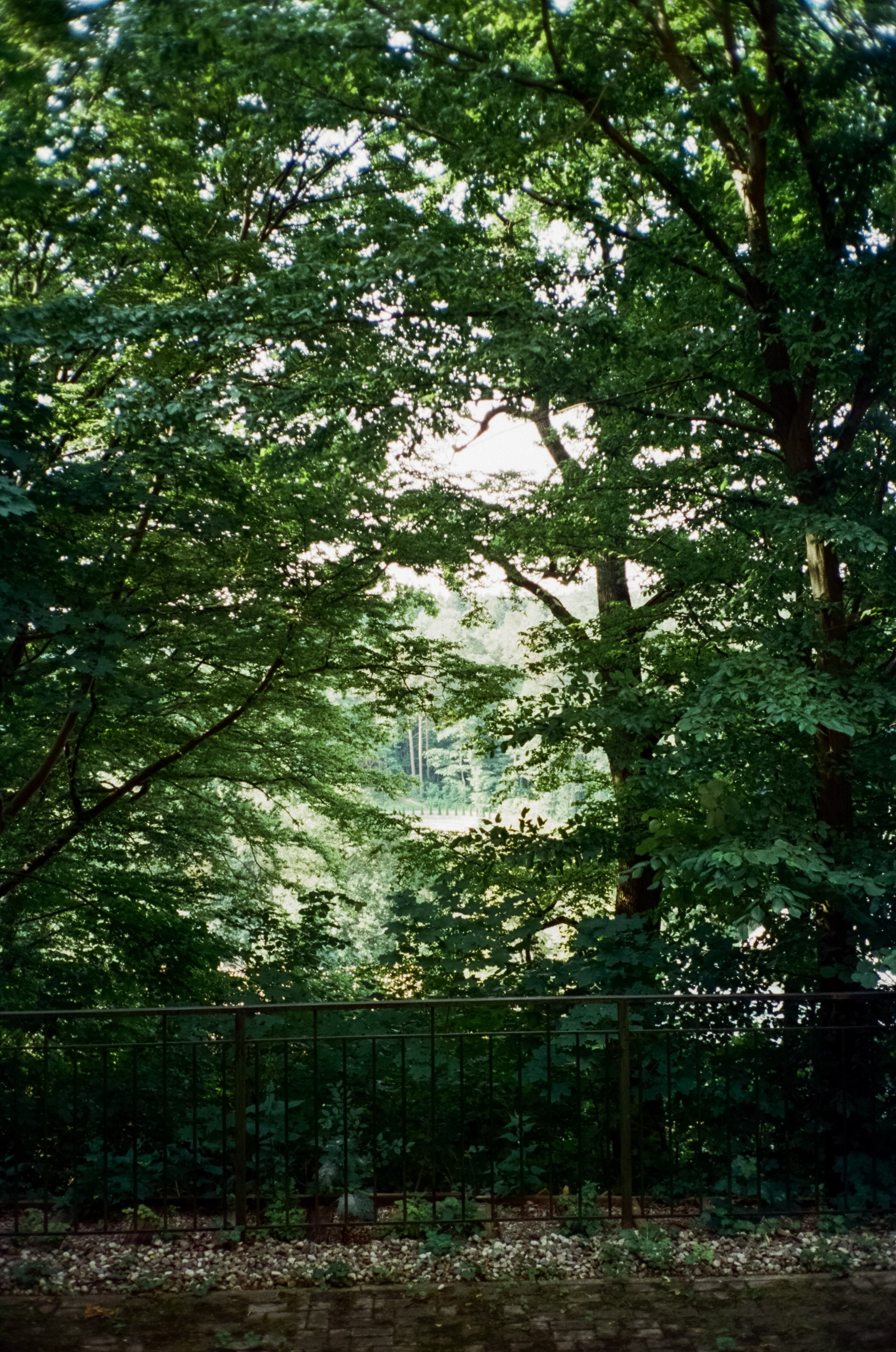 Тихое озеро и необыкновенный закат в Светлогорске. Фотограф-документалист Мария Осокина