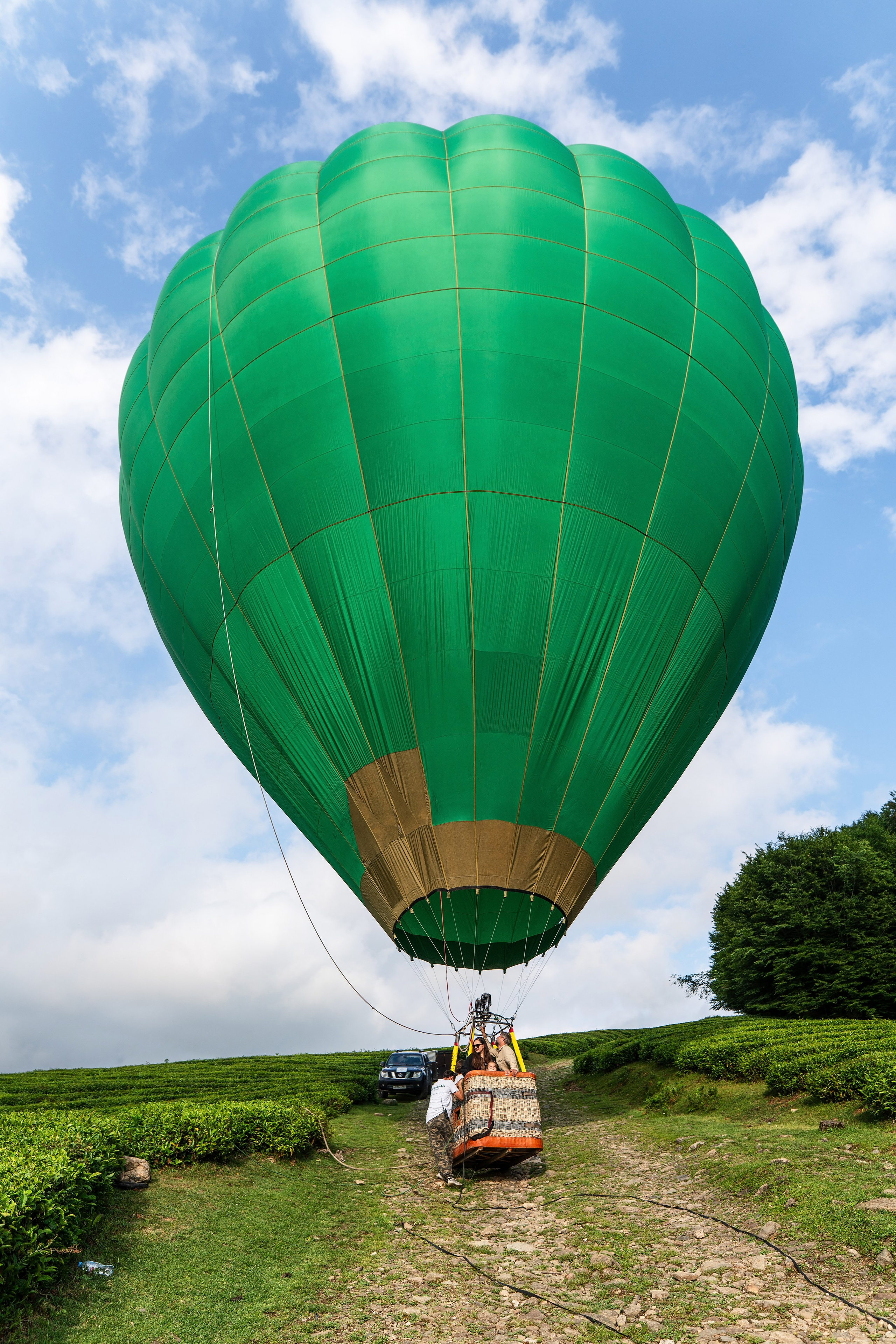 Фотограф на праздник Сочи. Фотограф Сочи